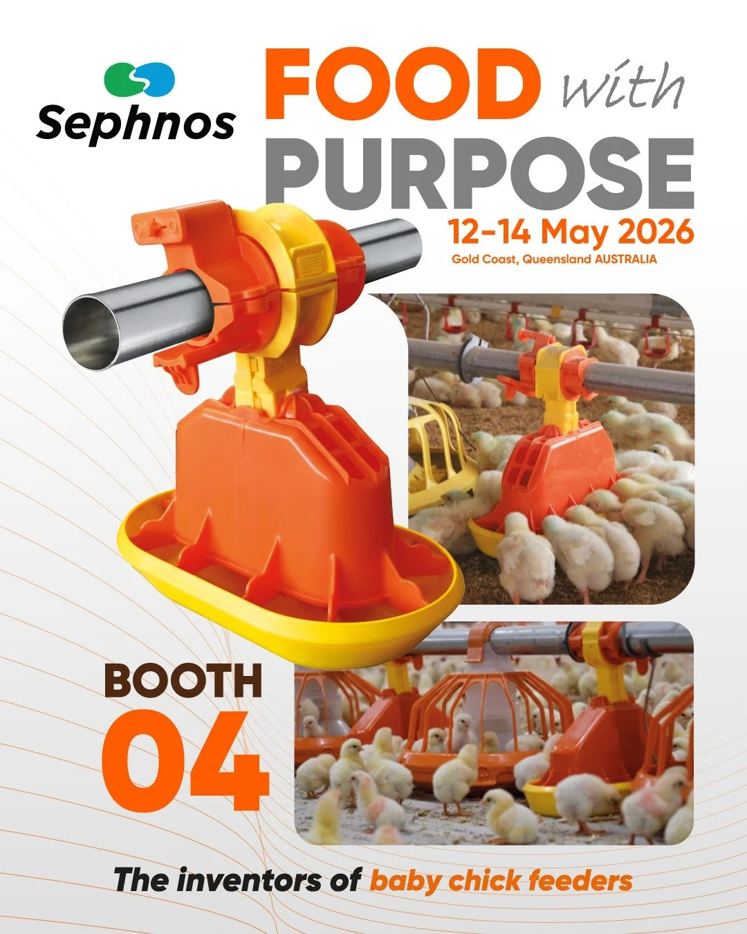 Eficiencia en cada gramo: los comederos de Sephnos para pollo de engorde llegan a Australia