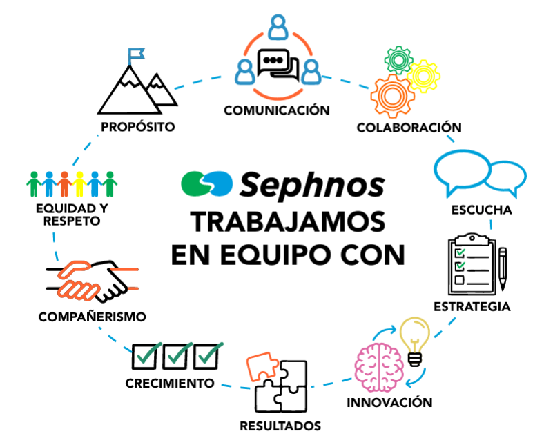 En Sephnos trabajamos en equipo: la cultura que impulsa la innovación