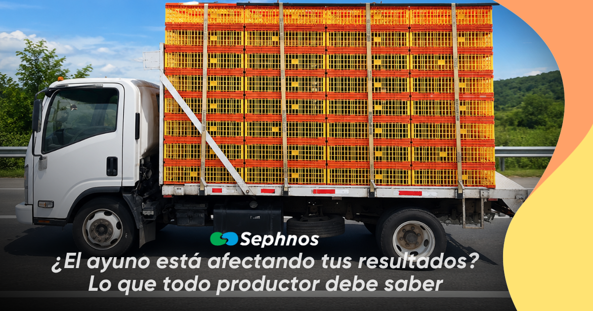 ¿El ayuno está afectando tus resultados? Lo que todo productor debe saber
