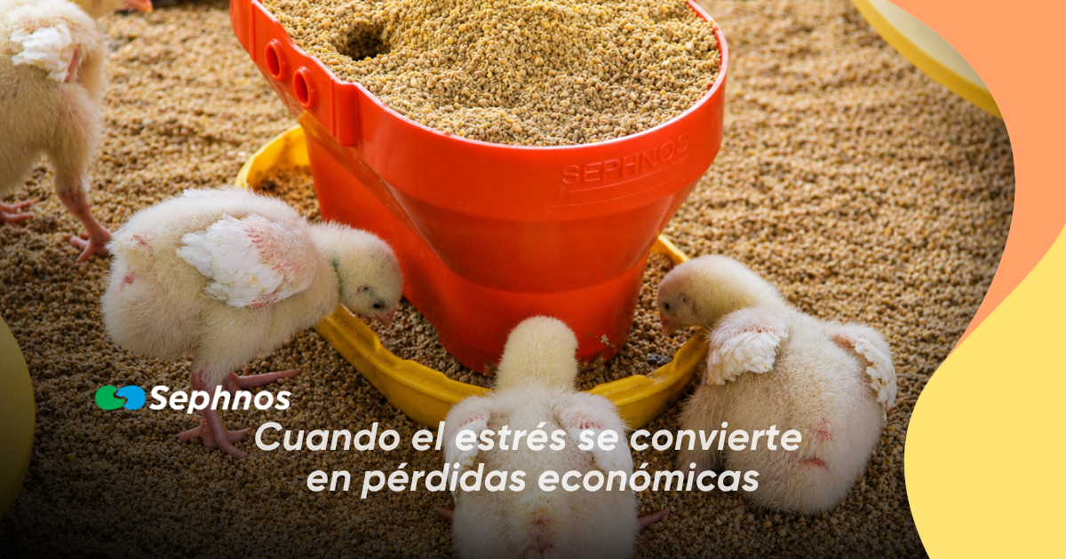 Cuando el estrés se convierte en pérdidas económicas