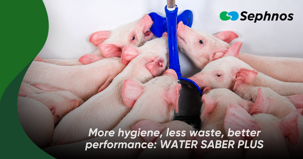 More hygiene, less waste, better performance: WATER SABER PLUS