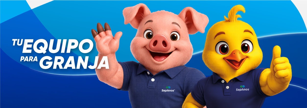 BANNER-WEB.png
