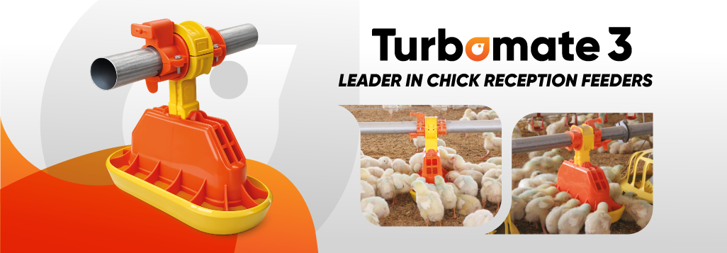 BANNER-WEB-003.png