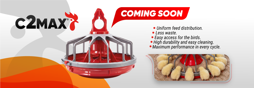 BANNER-WEB-002.png
