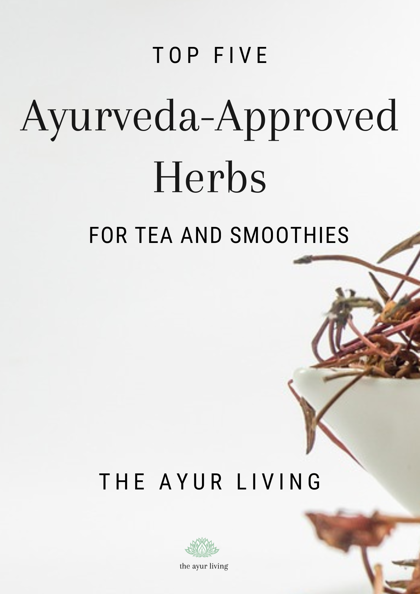 Herbs Book.png