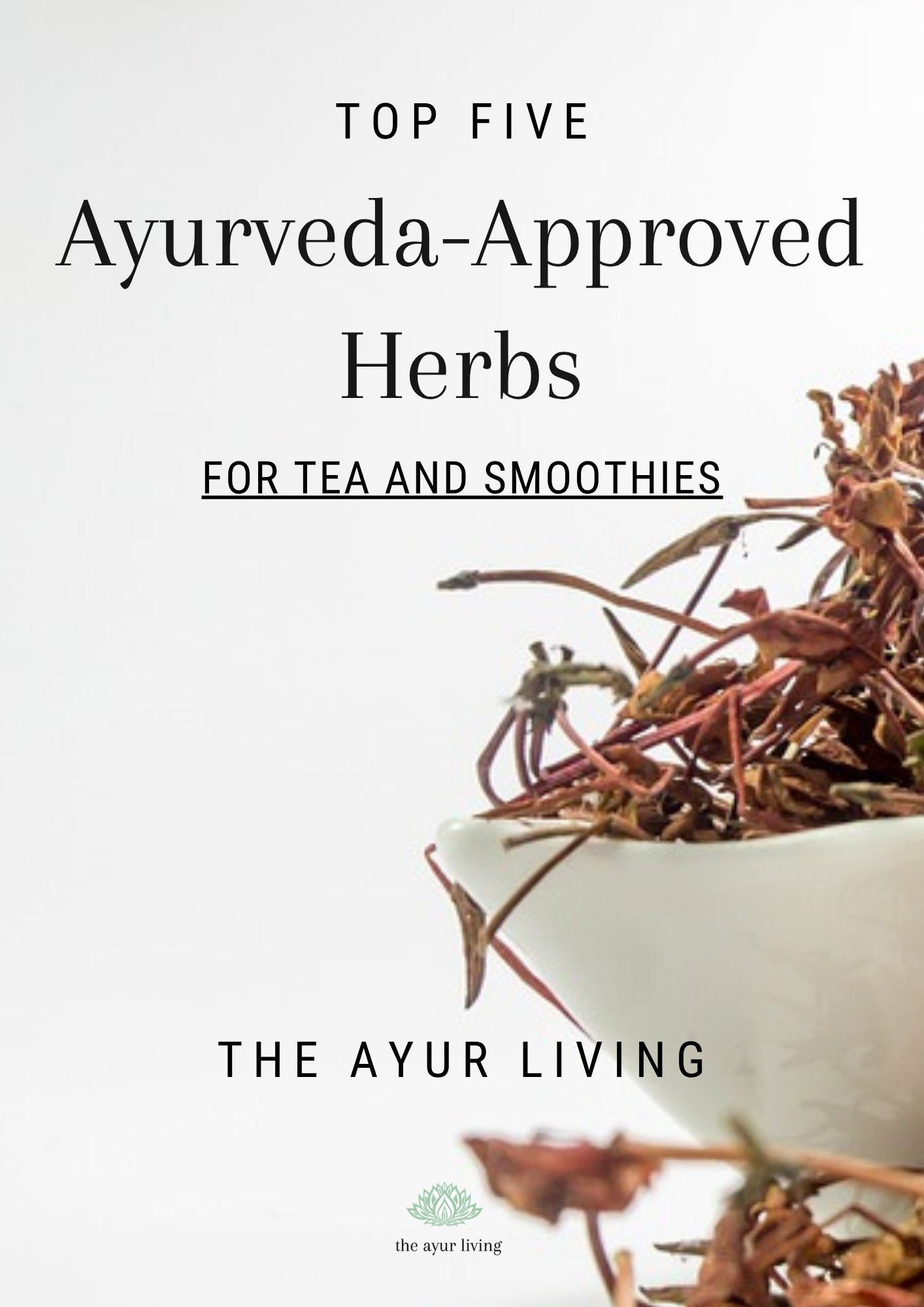 The Ayur Living_Ayurveda-Approved Herbs.png