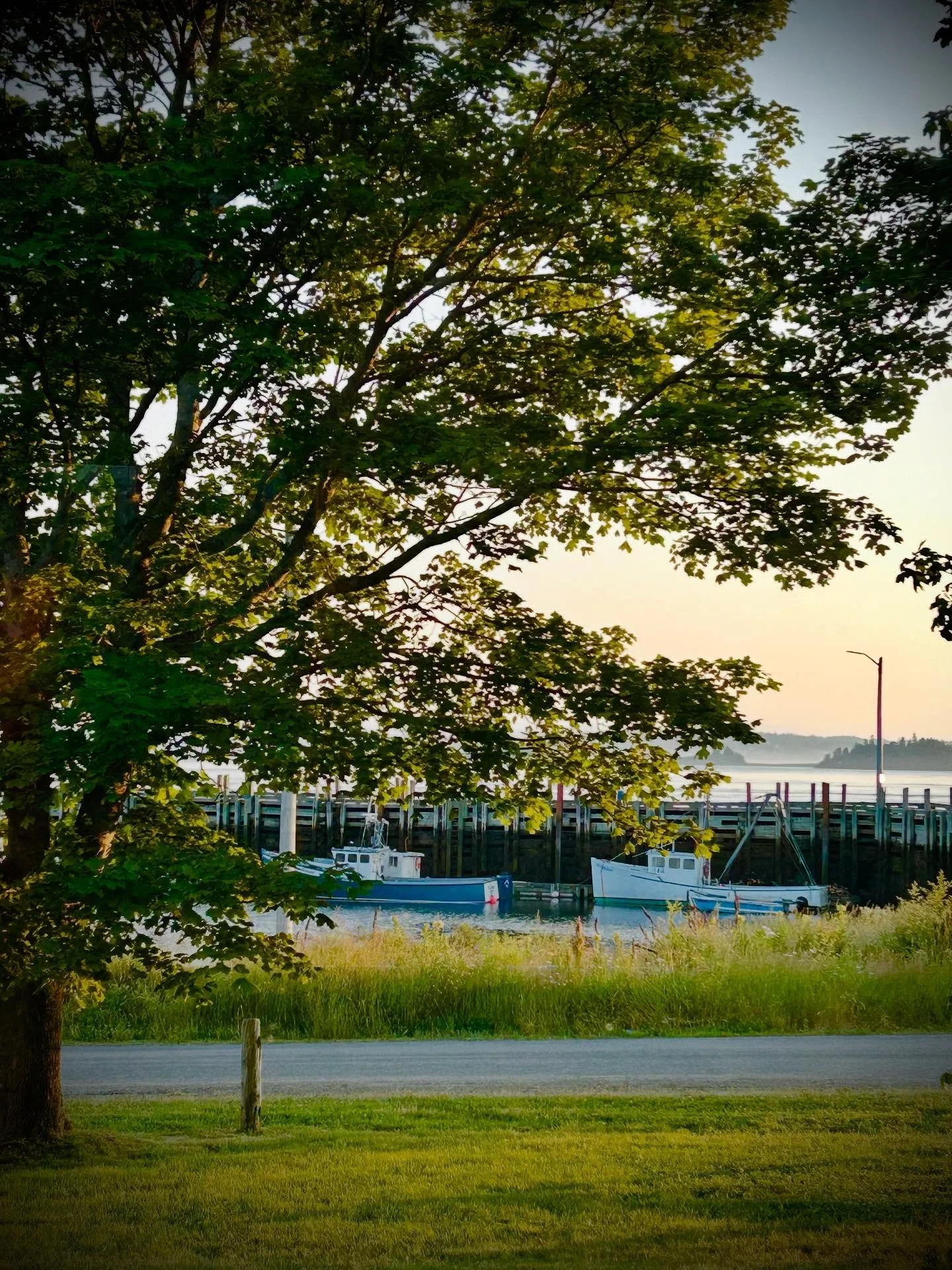 The view from Cooks Point House.