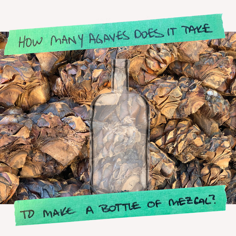 A Guide to Mezcal: How It's Made and Which Bottles to Try