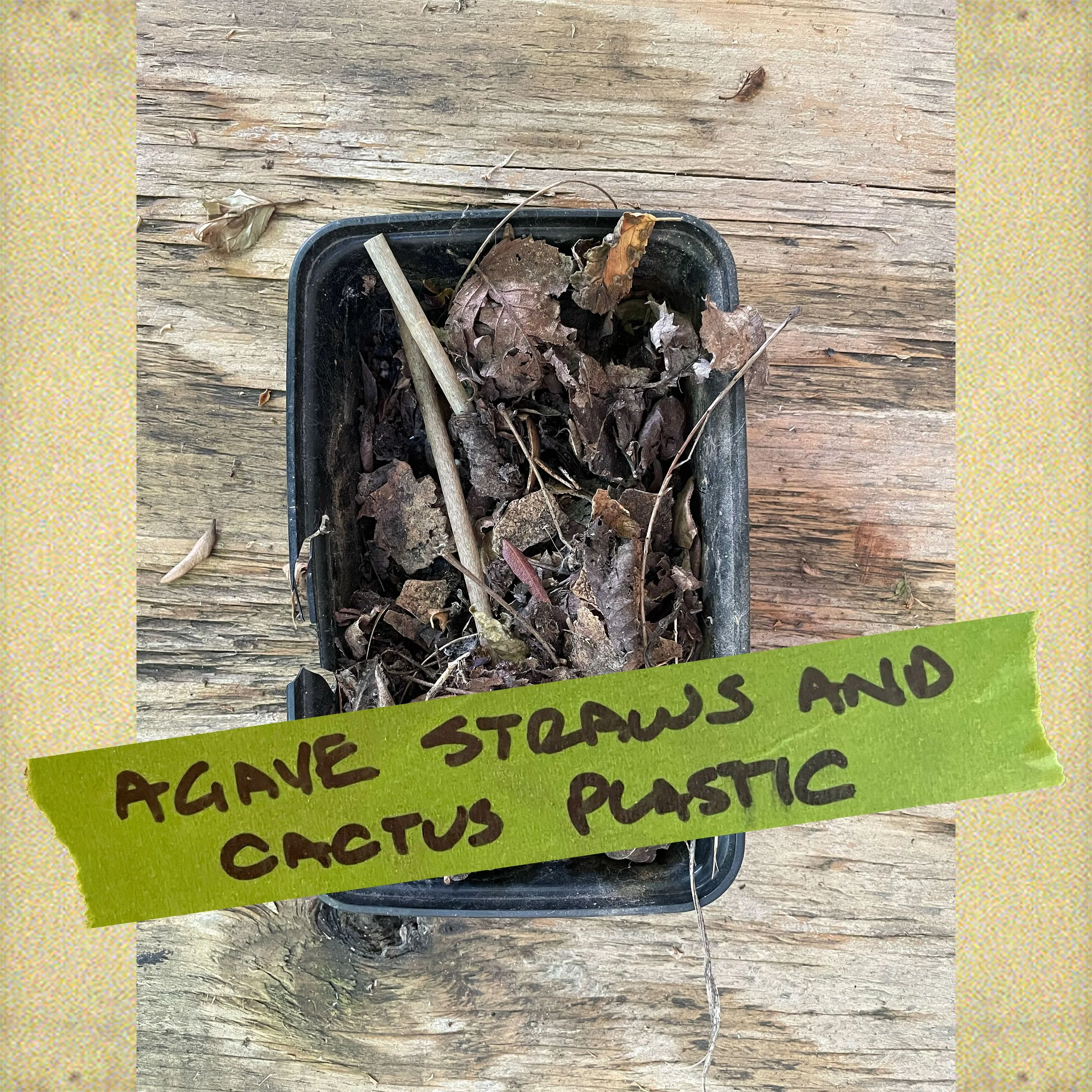 Agave straws and cactus plastic