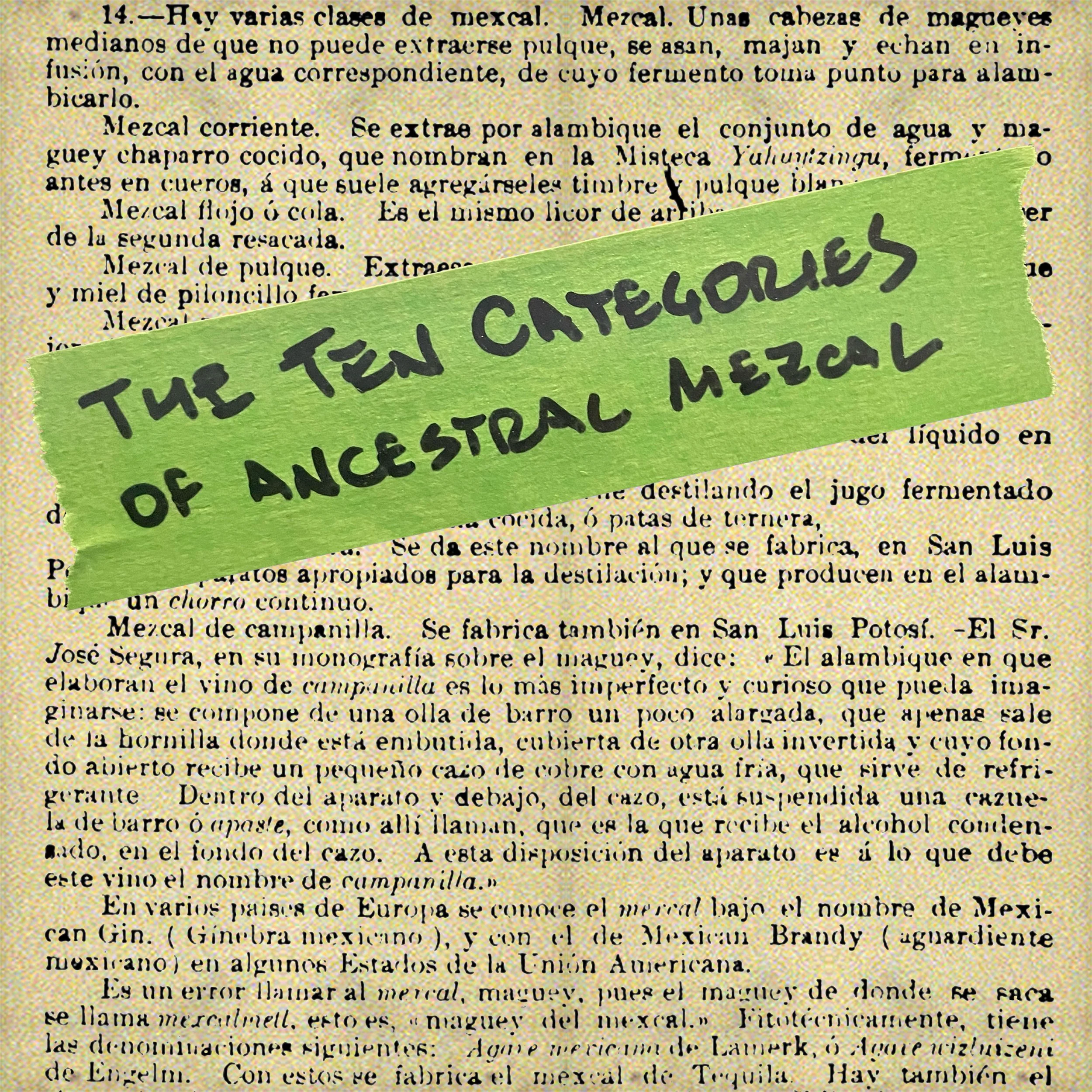 The ten categories of ancestral mezcal
