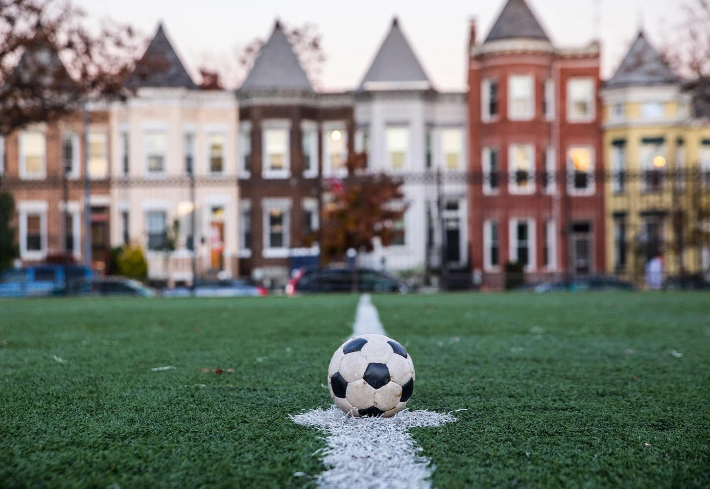 Mental Activation Session 2: Word Search