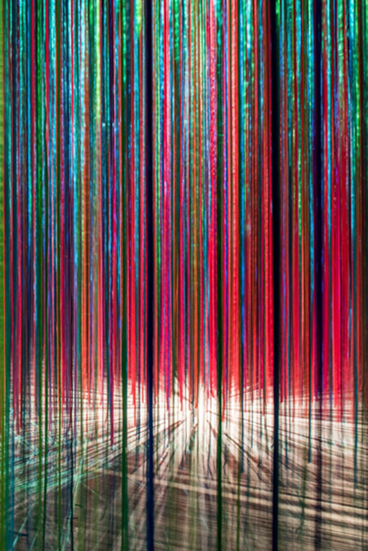 Anne patterson_pathless woods_ringling museum_state museum of florida_ribbon art_fabric art_textile art_installation artist_synesthetic_6.jpg