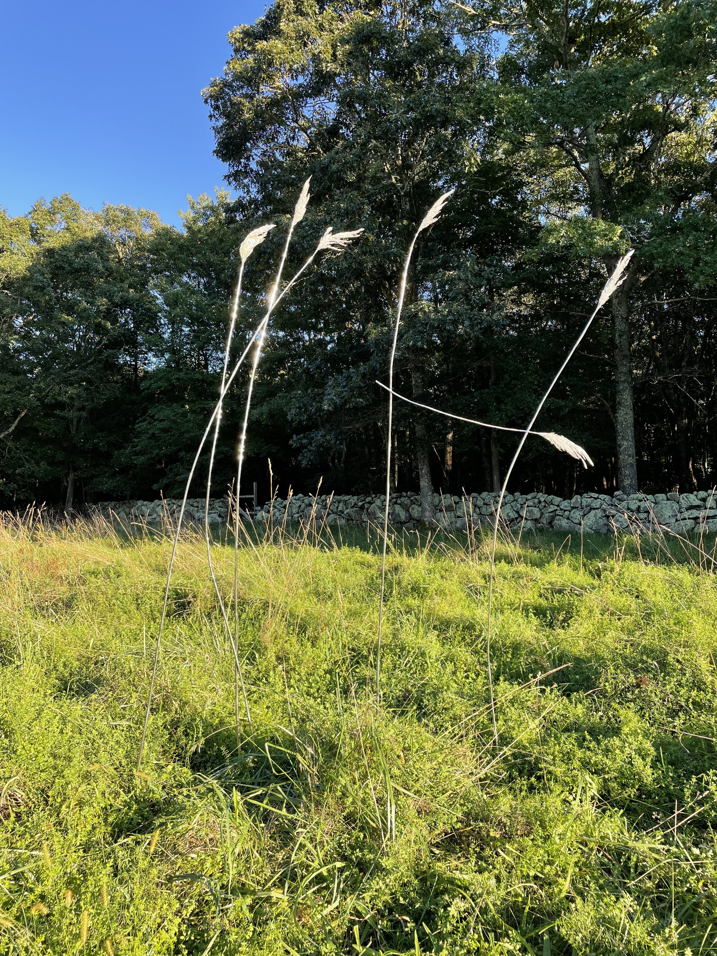 Anne Patterson_The Paths We Take_Field 2.jpeg