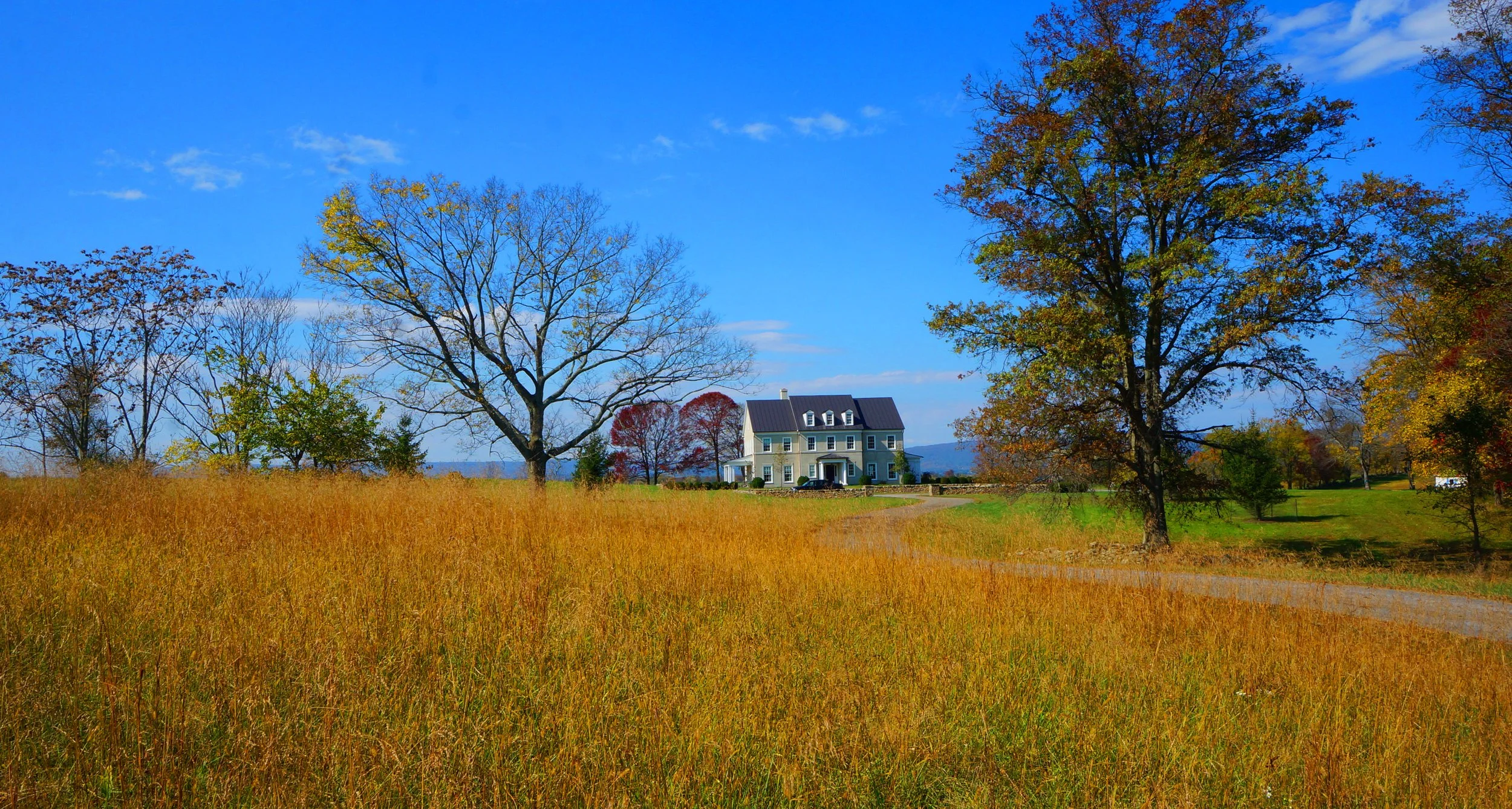Atoka - fall field 1 .jpg