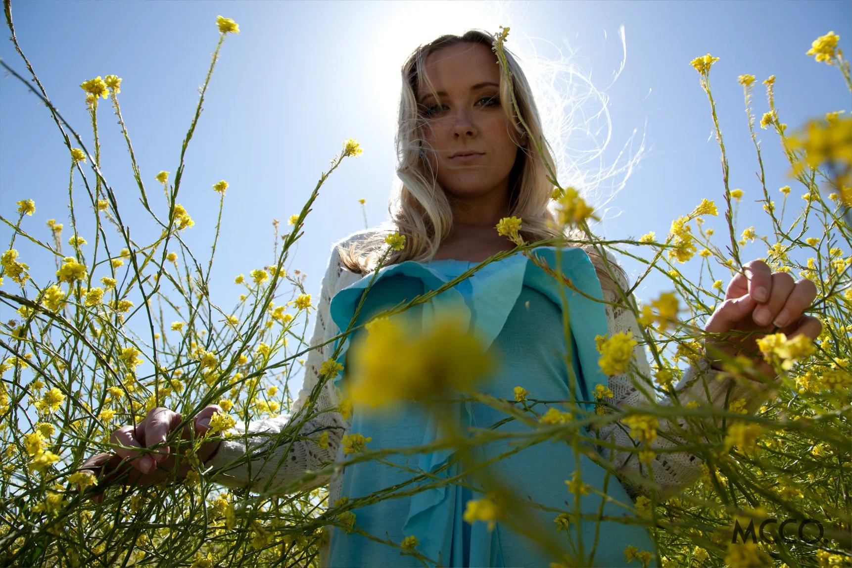 A woman stands among yellow flowering plants, holding branches and looking down at the camera with a partly cloudy sky and bright sunlight behind her.
