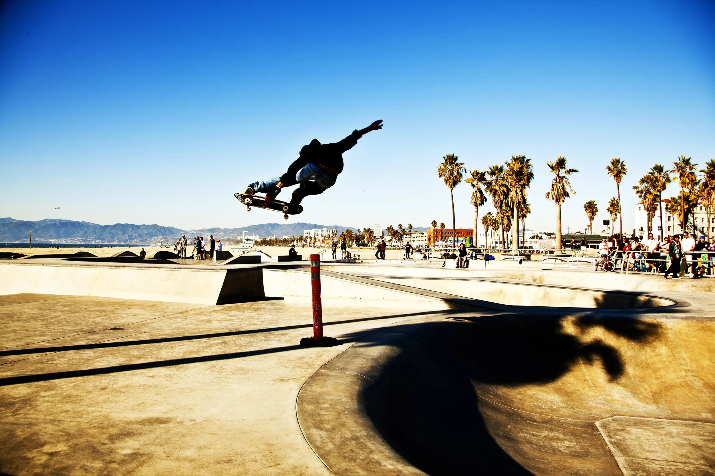 SKATE1_12x8.jpg