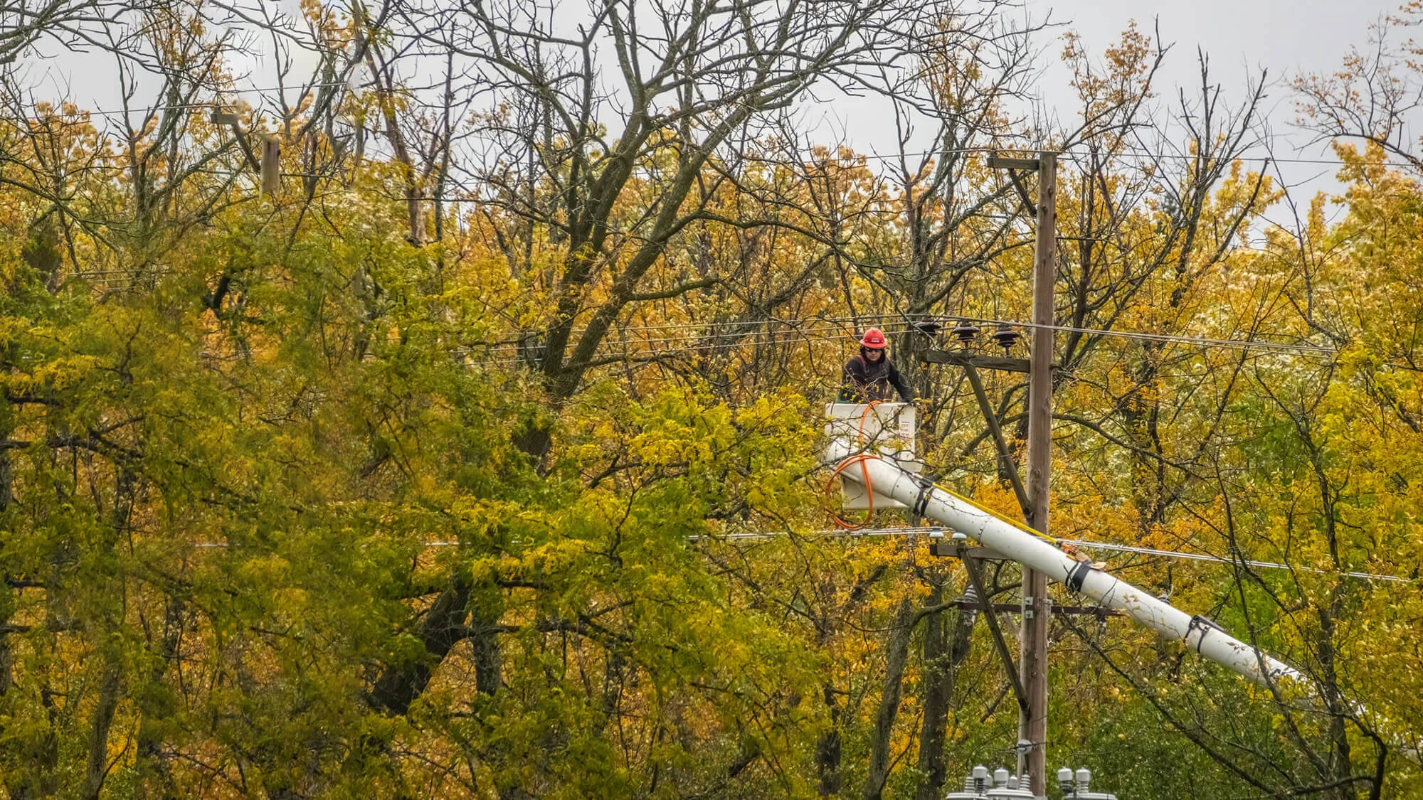 Utility Services Tree Tech, Inc.