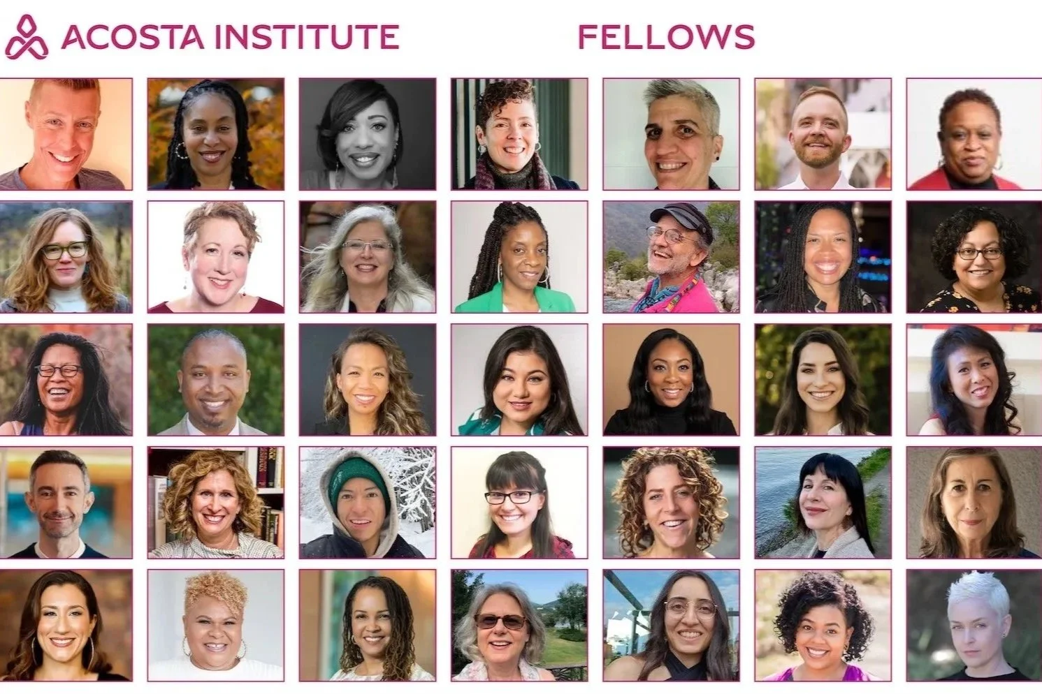 Acosta Institute Fellowship