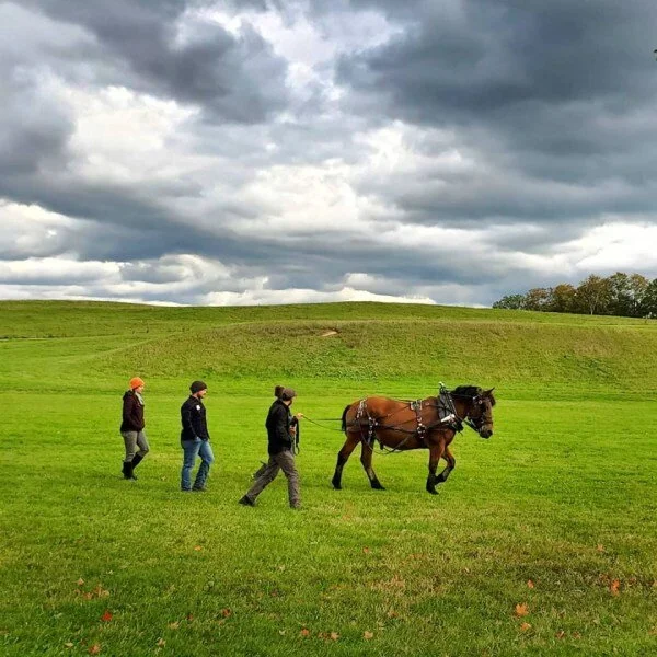 Draft Animal Power Network