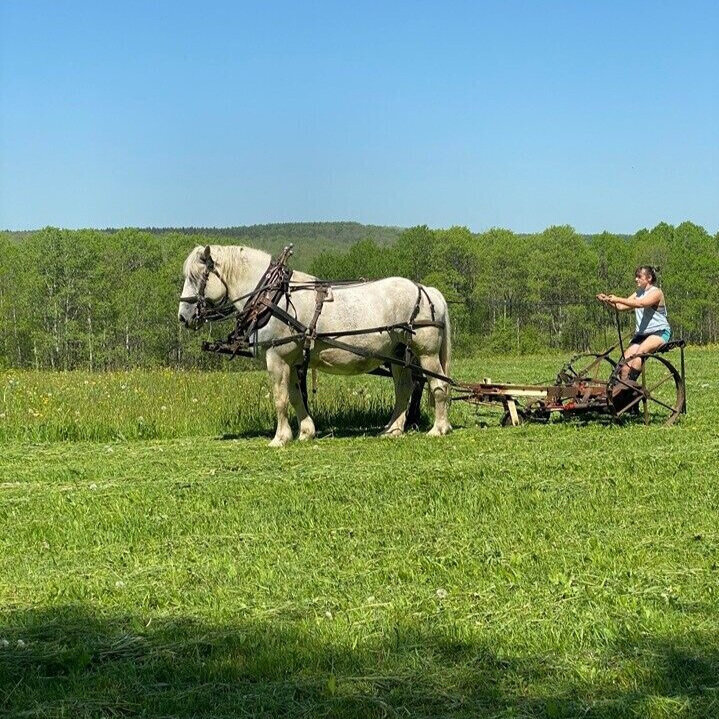 Draft Animal Power Network