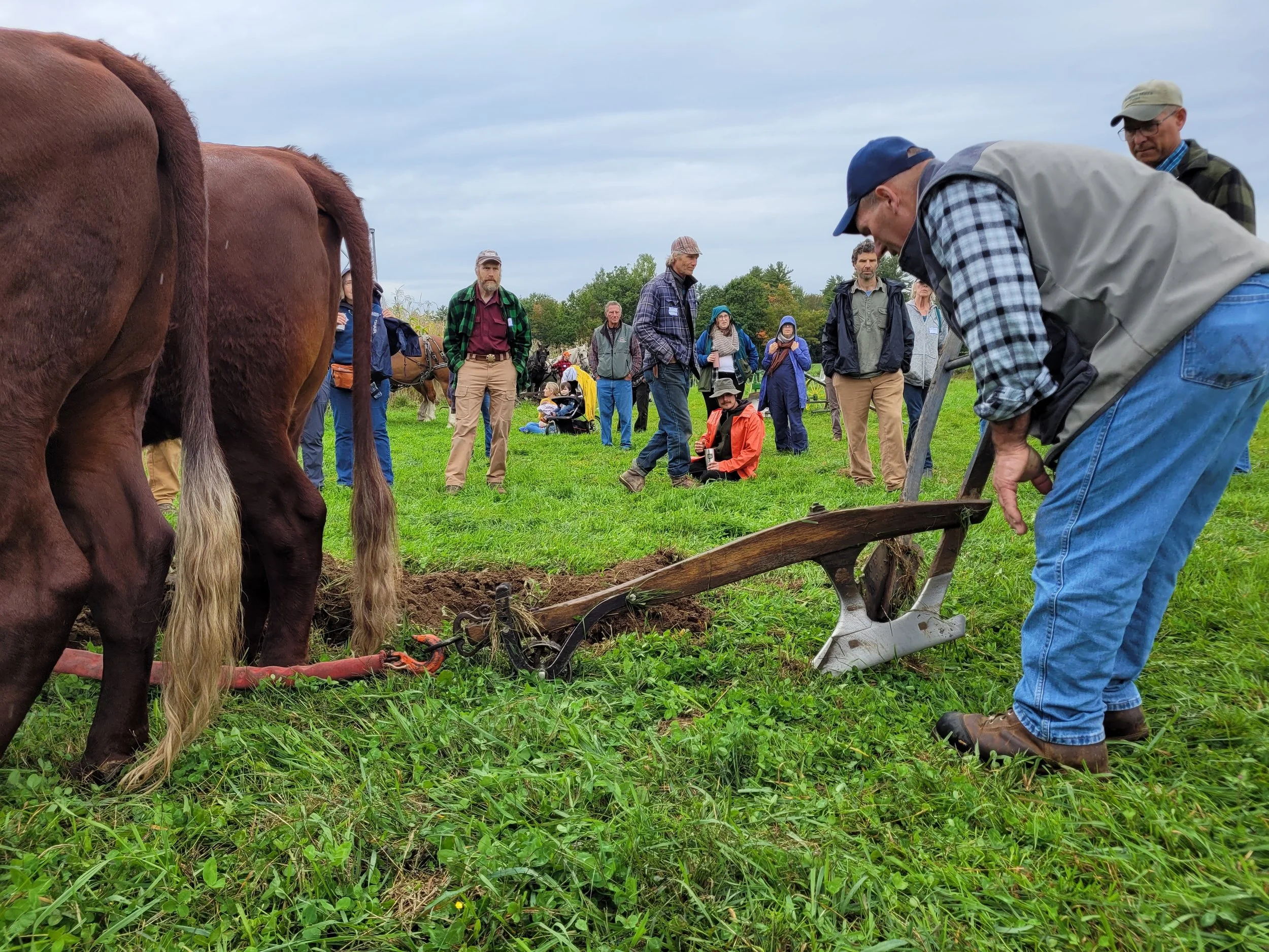 Draft Animal Power Network