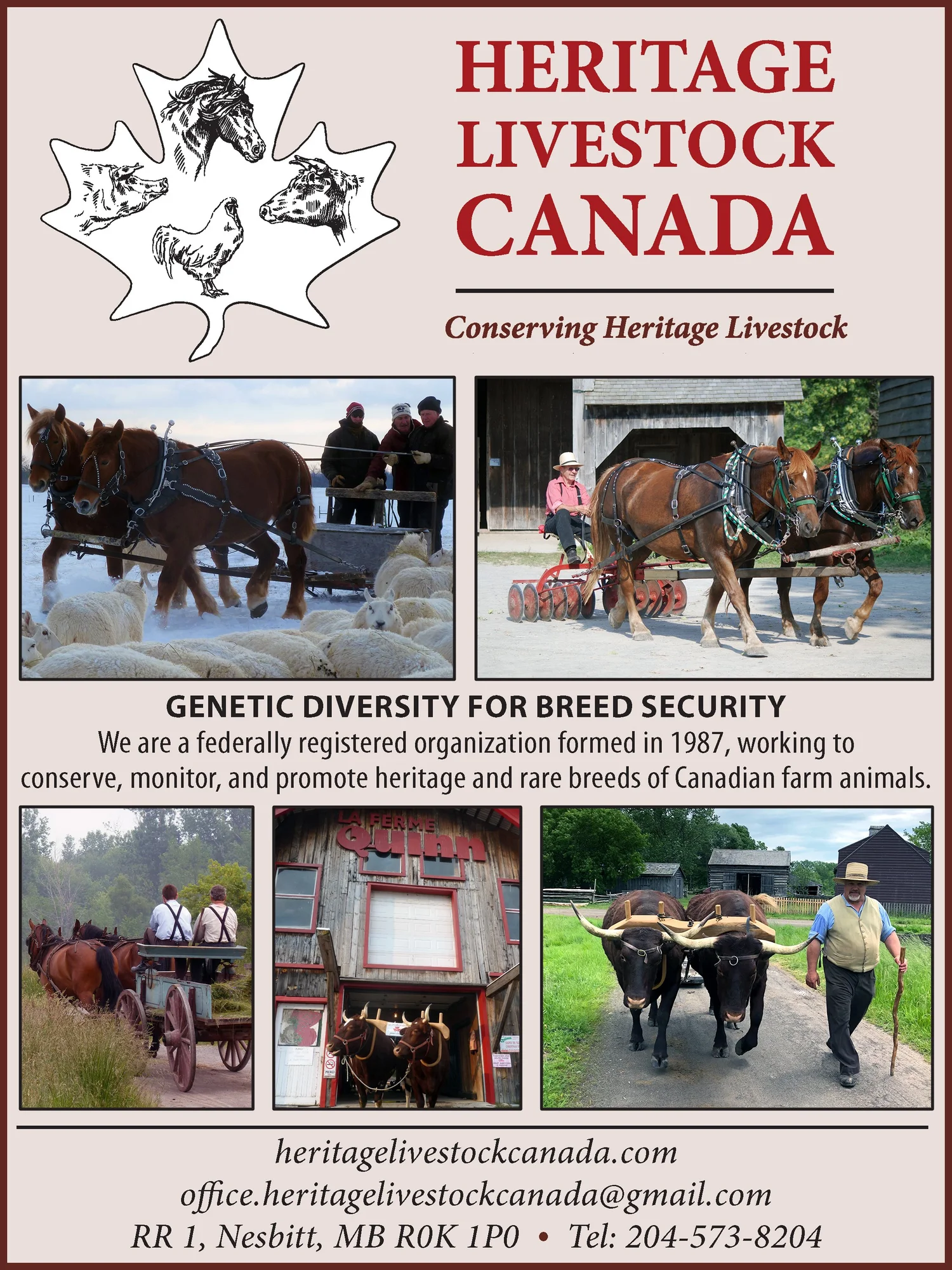 DAPFD 2024 — Draft Animal Power Network