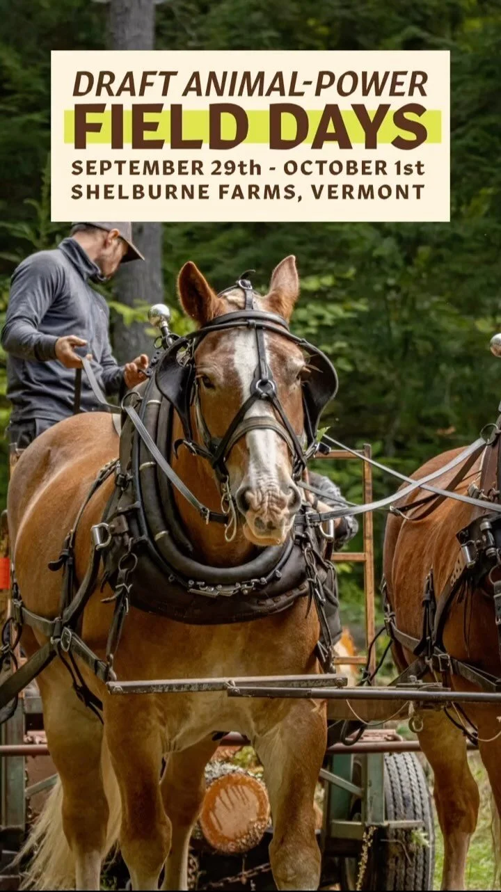 Photo Gallery — Draft Animal Power Network