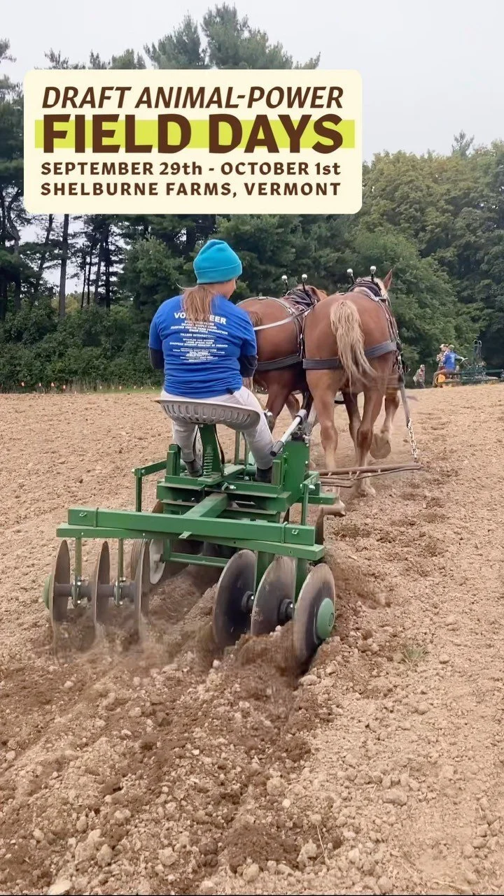 Photo Gallery — Draft Animal Power Network