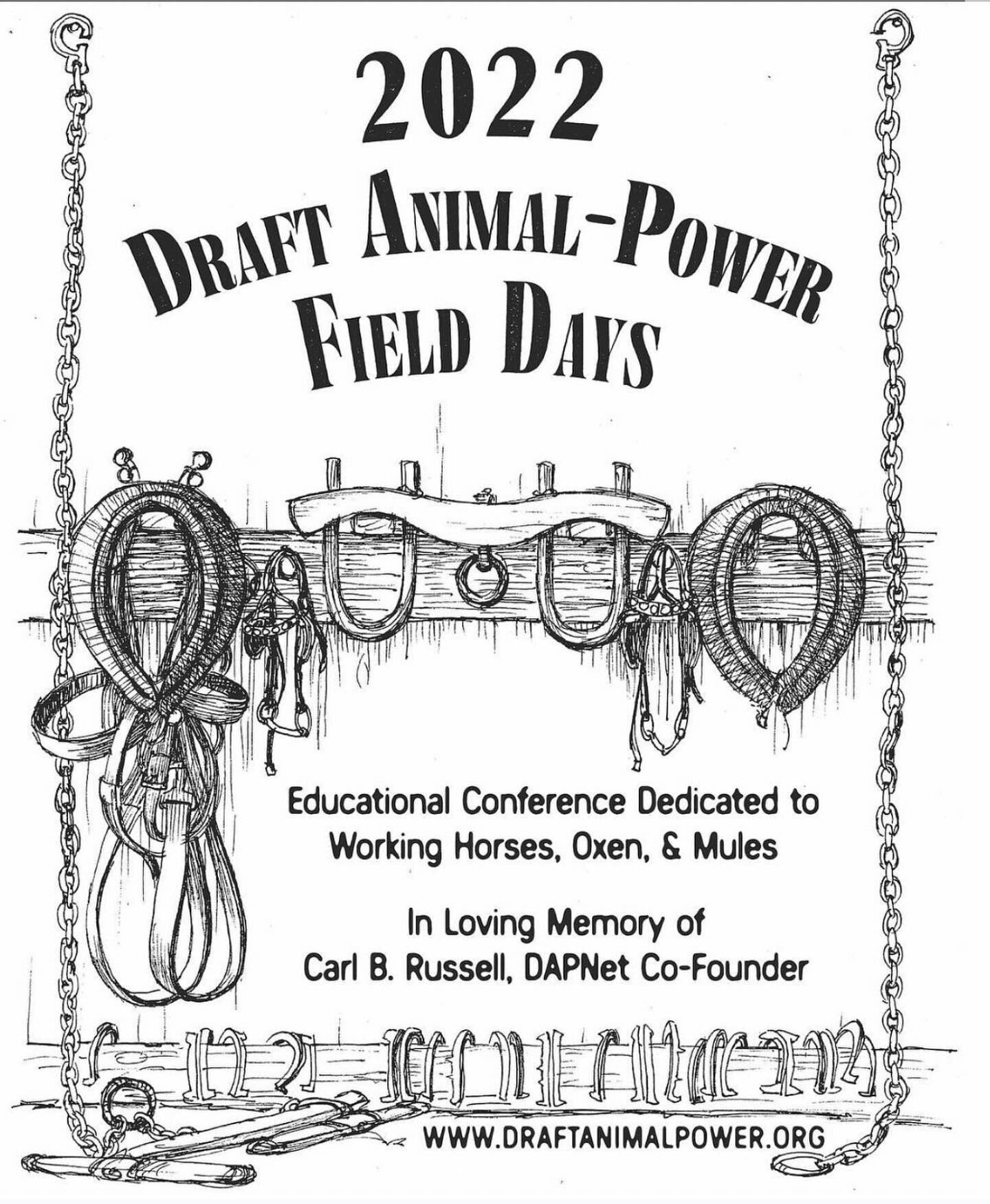 Calling all Artists! 

Do you want to see your art on hundreds of t-shirts, advertisements, and posters? DAPNet is looking for a new design to put on our 2024 Draft Animal-Power Field Days merchandise and promotions. Submit your entry to dapnetinfo@g