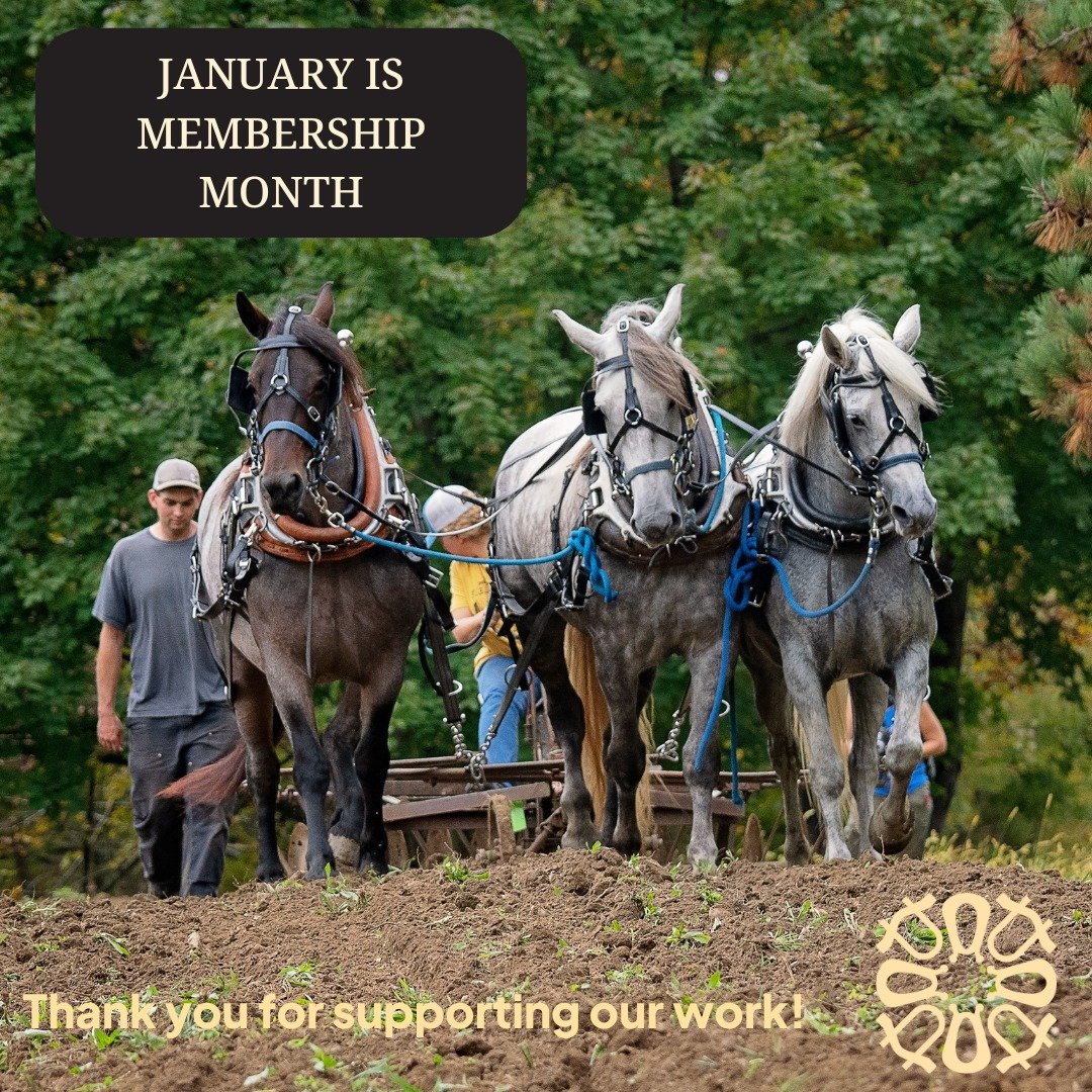 JANUARY IS MEMBERSHIP MONTH!

Link in bio to join or renew your membership!

Last year, DAPNet switched its membership system from rolling to annual. This means that instead of every member having a unique renewal date, everyone must renew in January