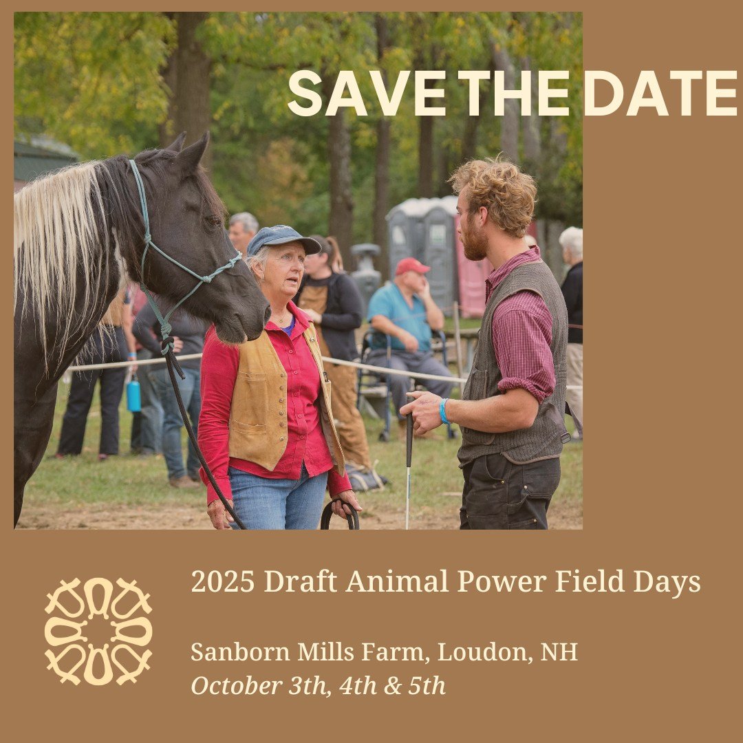 SAVE THE DATE for the 2025 Draft Animal Power Field Days

Keep your eyes peeled on our website, socials and newsletter (subscribe at the link in bio) for updates. Planning is well underway and we will share more information with you when we can!

 #T