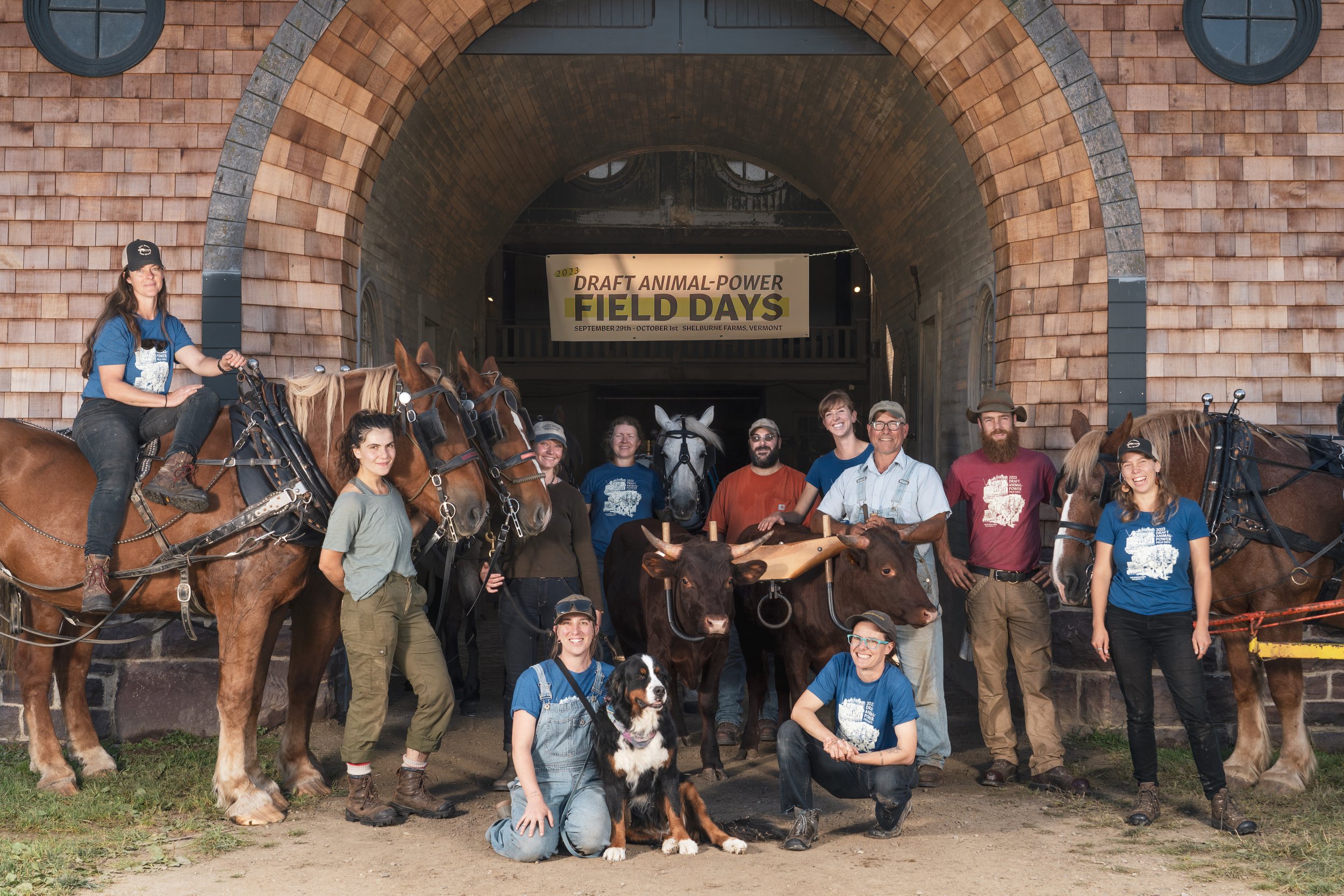 Board of Directors — Draft Animal Power Network