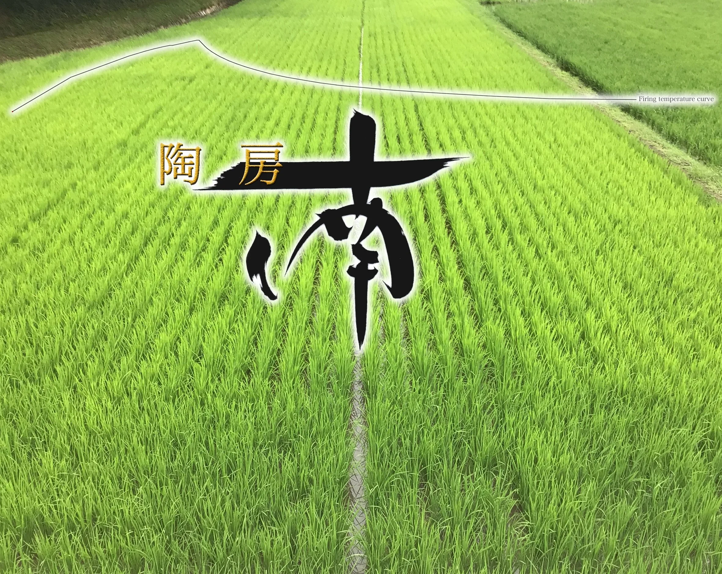 陶房南
