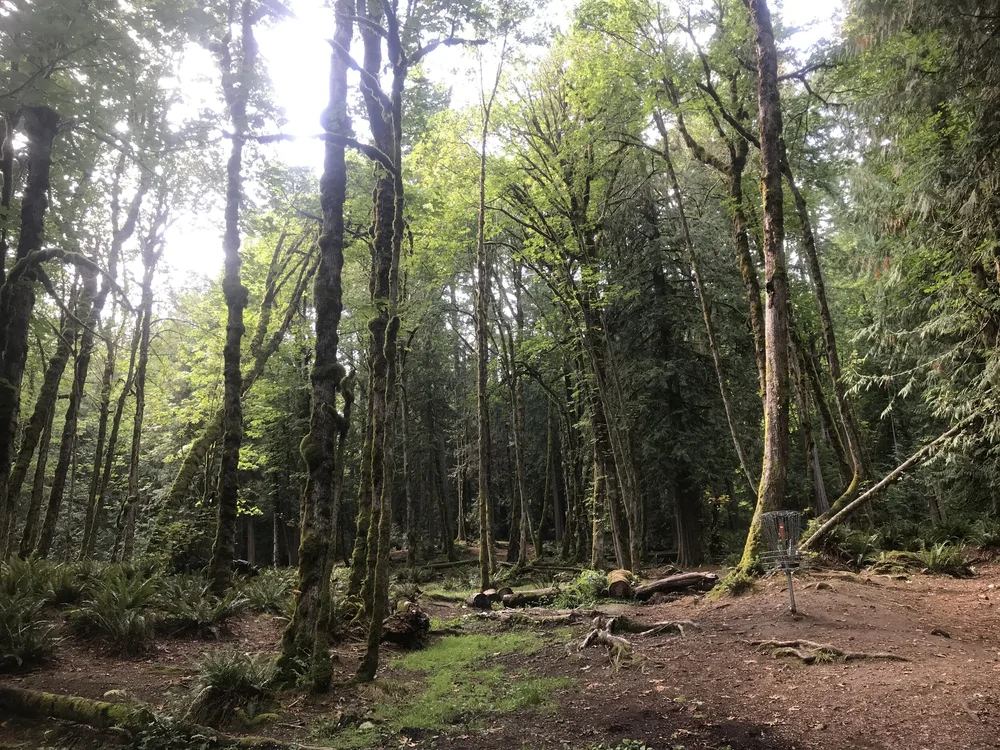 Frederickson Park — West Sound Disc Golf Association
