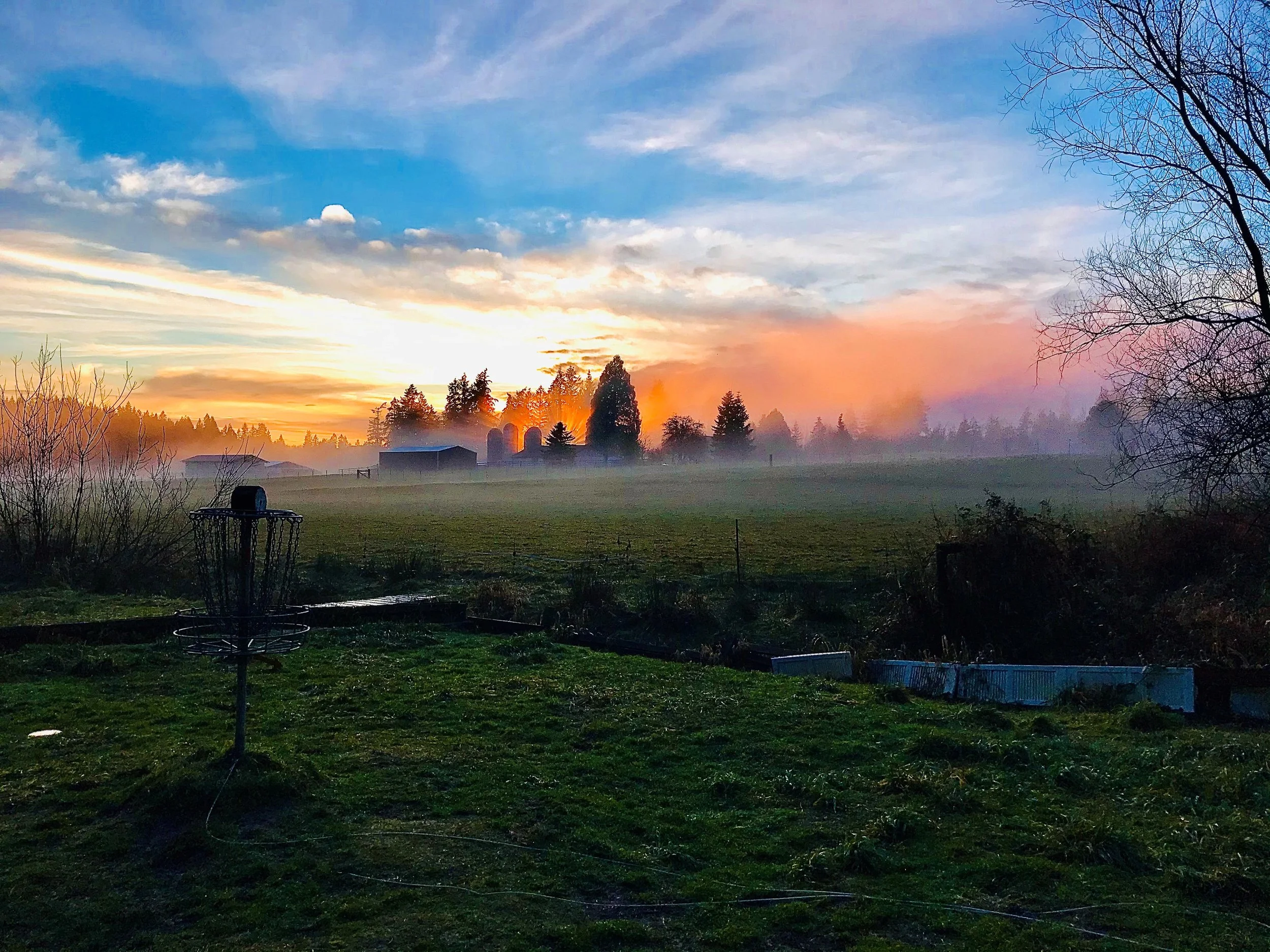 Events — West Sound Disc Golf Association