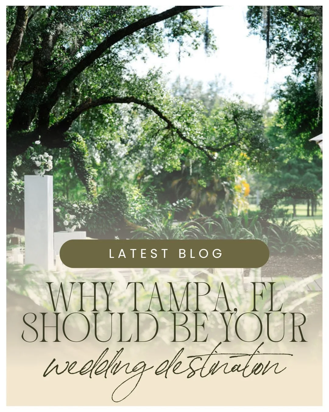When it comes to planning your wedding, the choice of location can make or break the magic ✨ Sure, you could tie the knot in your hometown or a quaint countryside barn - but why not add a little sunshine, sea breeze, and palm-lined romance to your bi