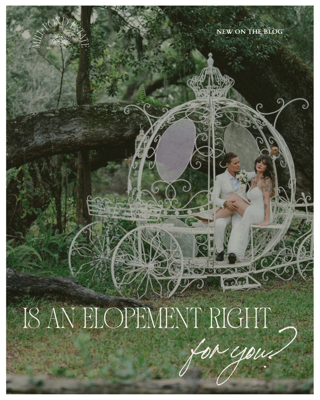 Just the two of you (and maybe a handful of your favorite humans) 💍

Elopements done beautifully with Mill Pond Estate's Elevated Elopement packages ✨

New on the blog: Is an elopement right for you? Link in bio to read the full the post &amp; learn