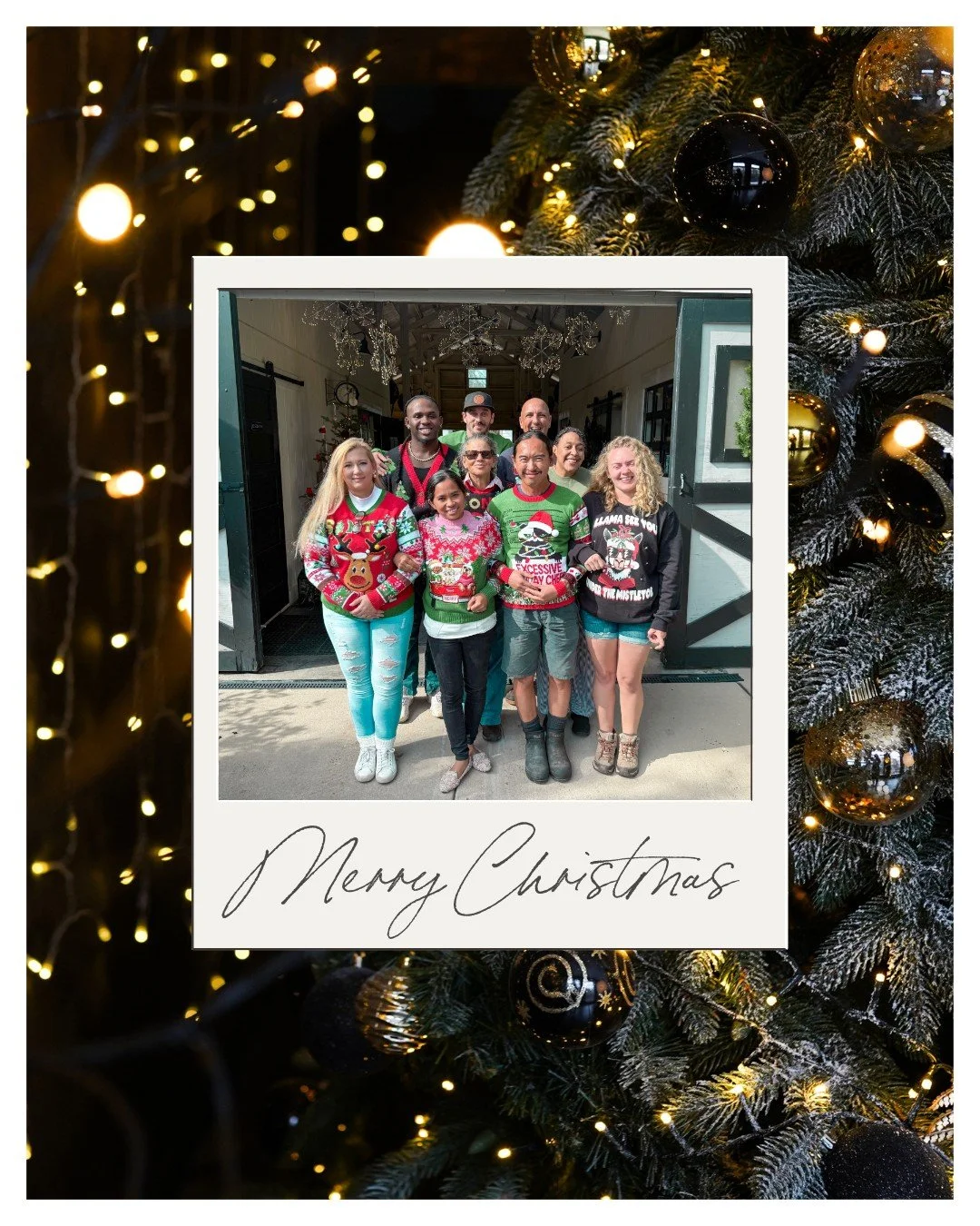 Wishing you &amp; your loved ones a very Merry Christmas from the Mill Pond Estate team ✨🎄

#merrychristmas #millpondestate