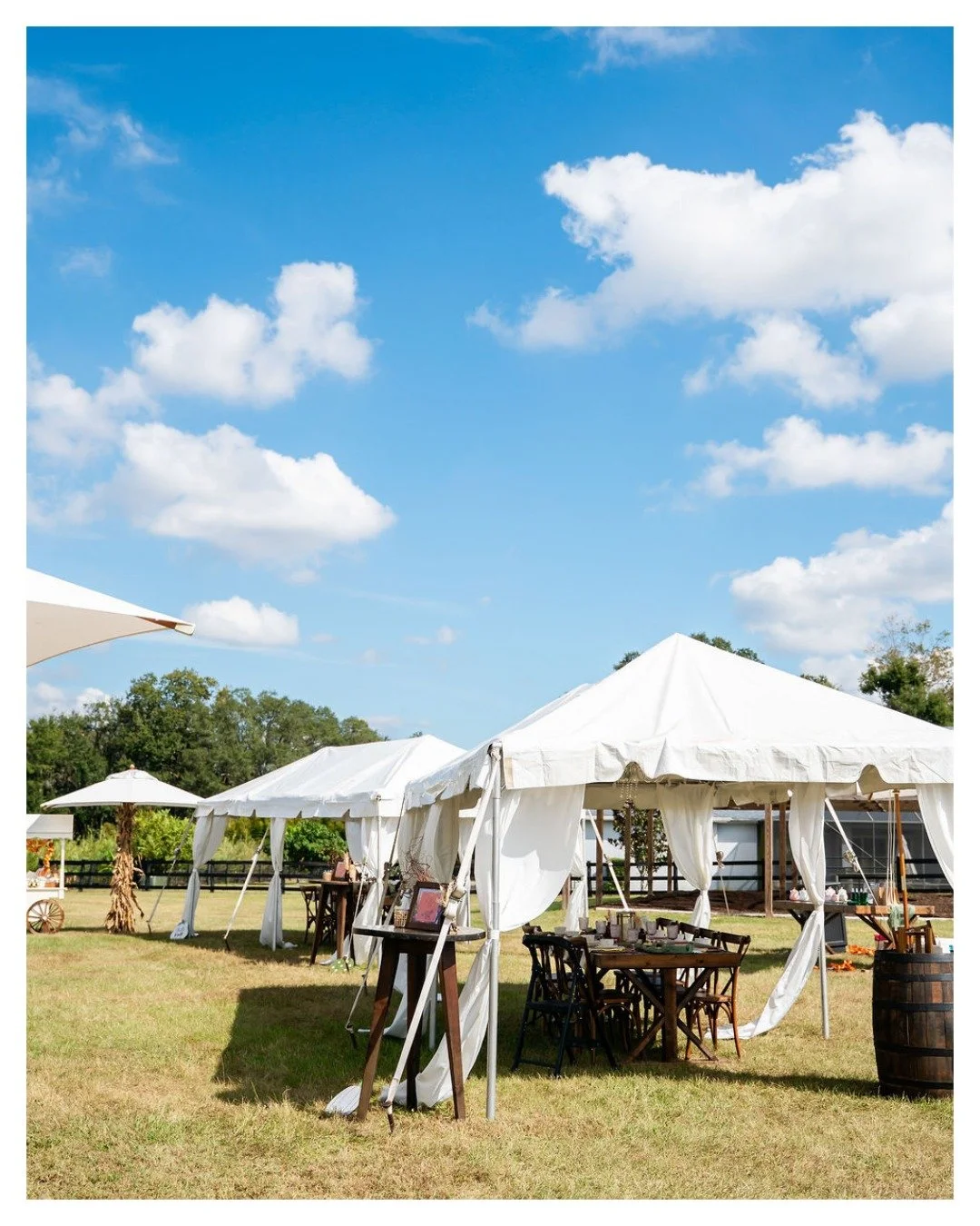 Did you hear? 👀  We're hosting a Highland Tea Party right here at Mill Pond Estate on Sunday, January 18th at 12:00pm! 

Join us for an afternoon of a classic high tea experience set among our lush gardens, with signature estate teas and homemade sw