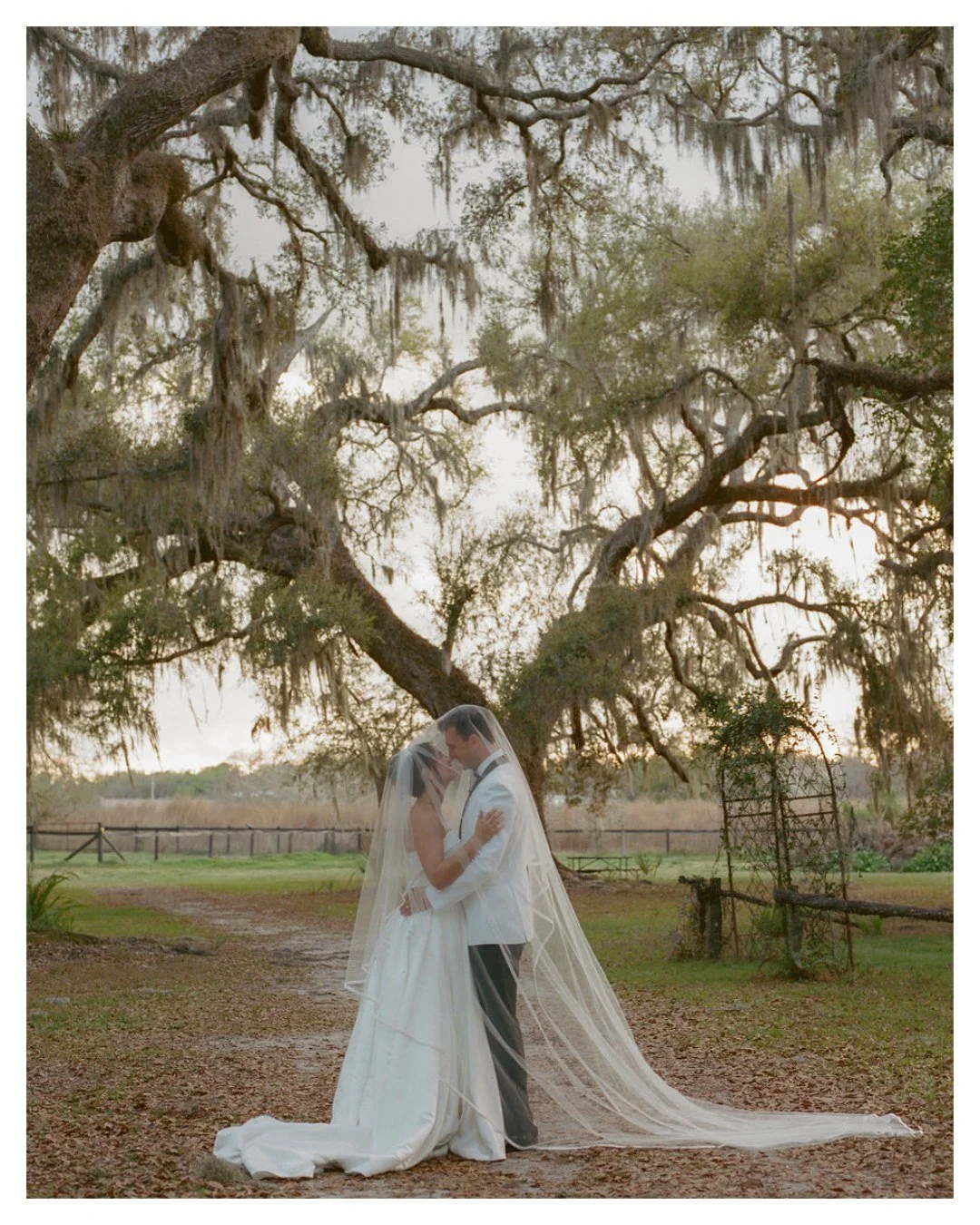 There is just *something* about film wedding photos 😍

Janine &amp; Zach's film photos from their Mill Pond Estate wedding are just *chef's kiss* - don't you agree!? ✨ 

Vendor Credits: 
Venue: @millpondestate
Planner: @samanthaelegantaffairsbydesig