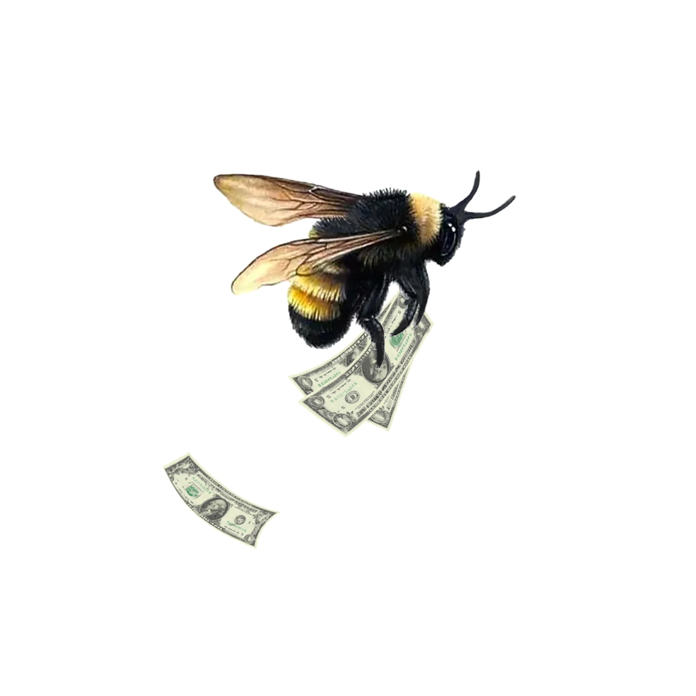 No Money No Honey.jpg