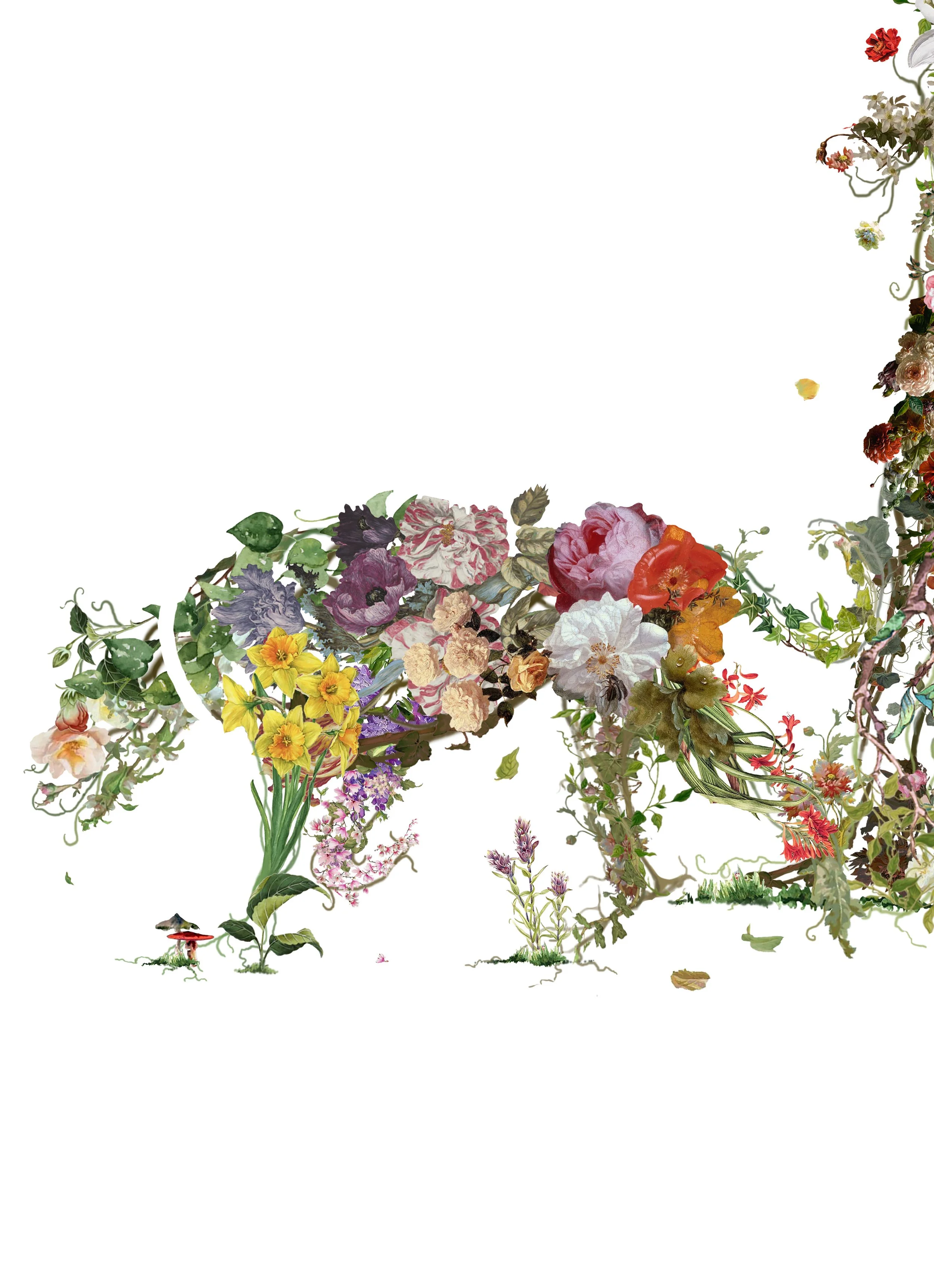 man and dog close.jpg