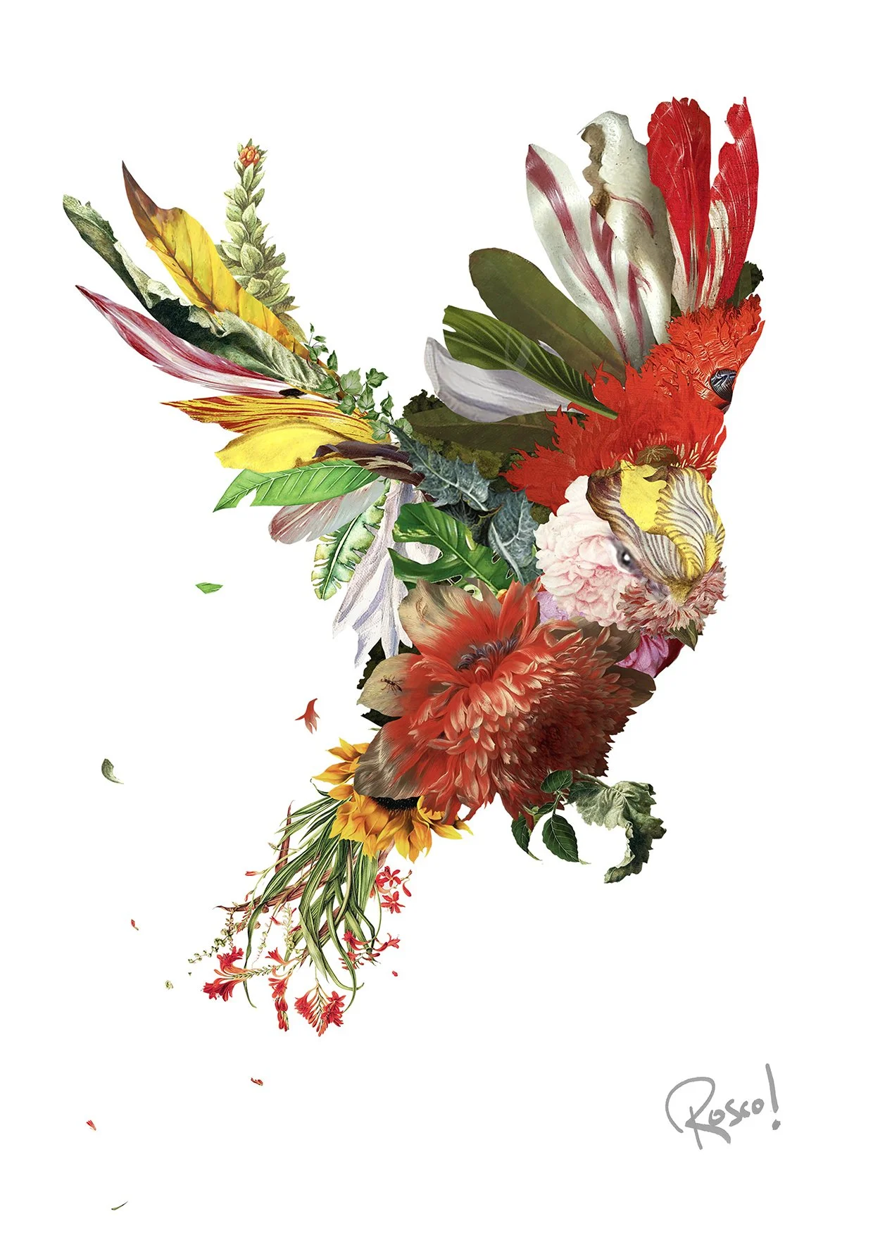 dance of light with SIG A4 small.jpg