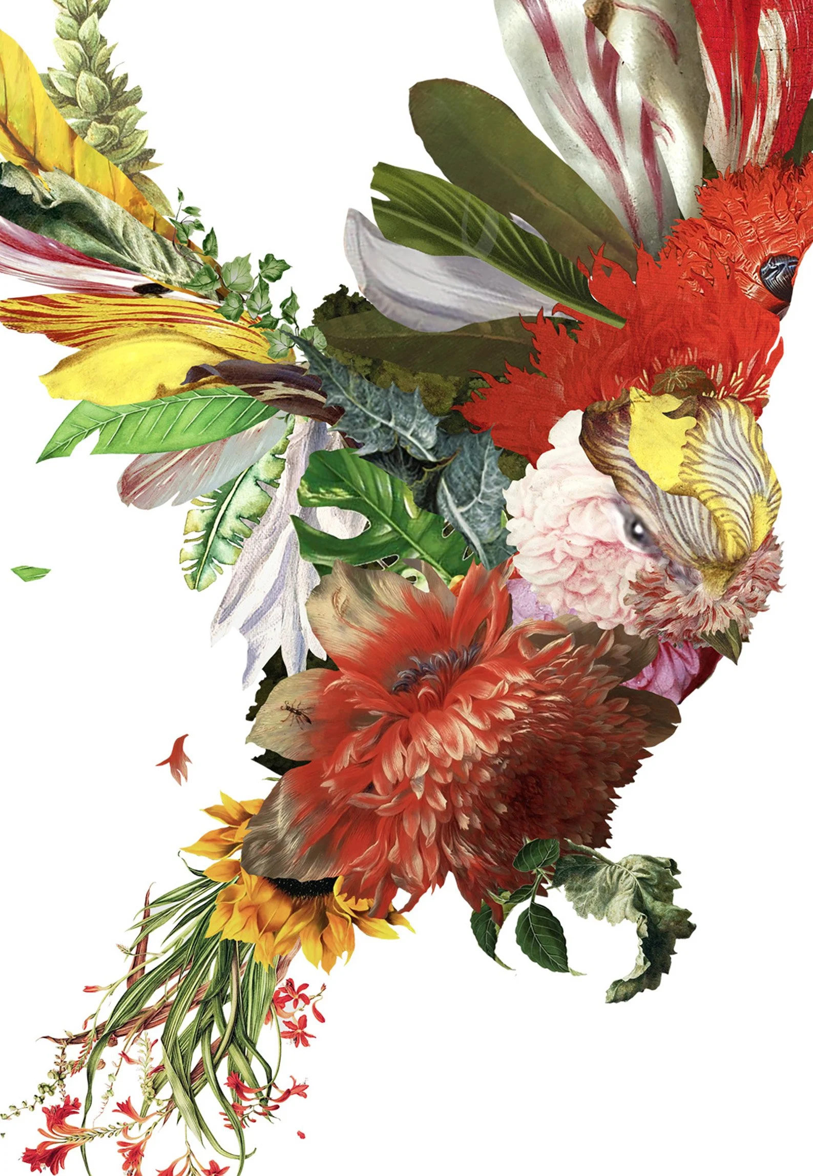 dance of light with SIG A4 close.jpg