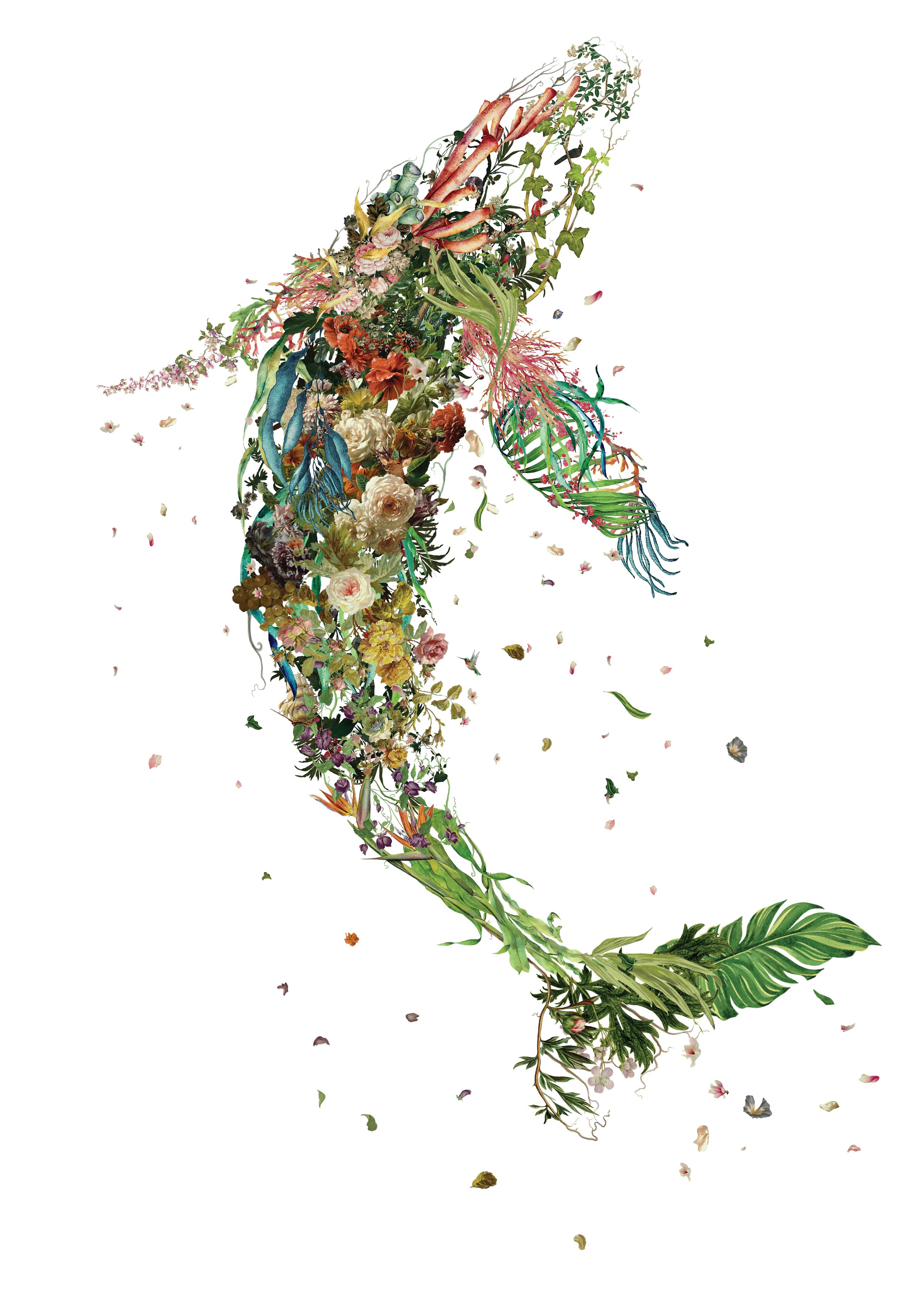 Whalefall A2.jpg