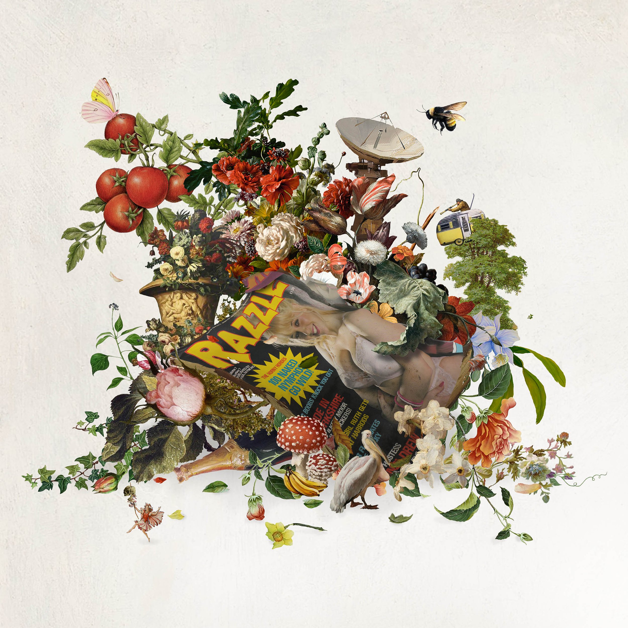 dirty magazine in the woods 45x45cm small.jpg