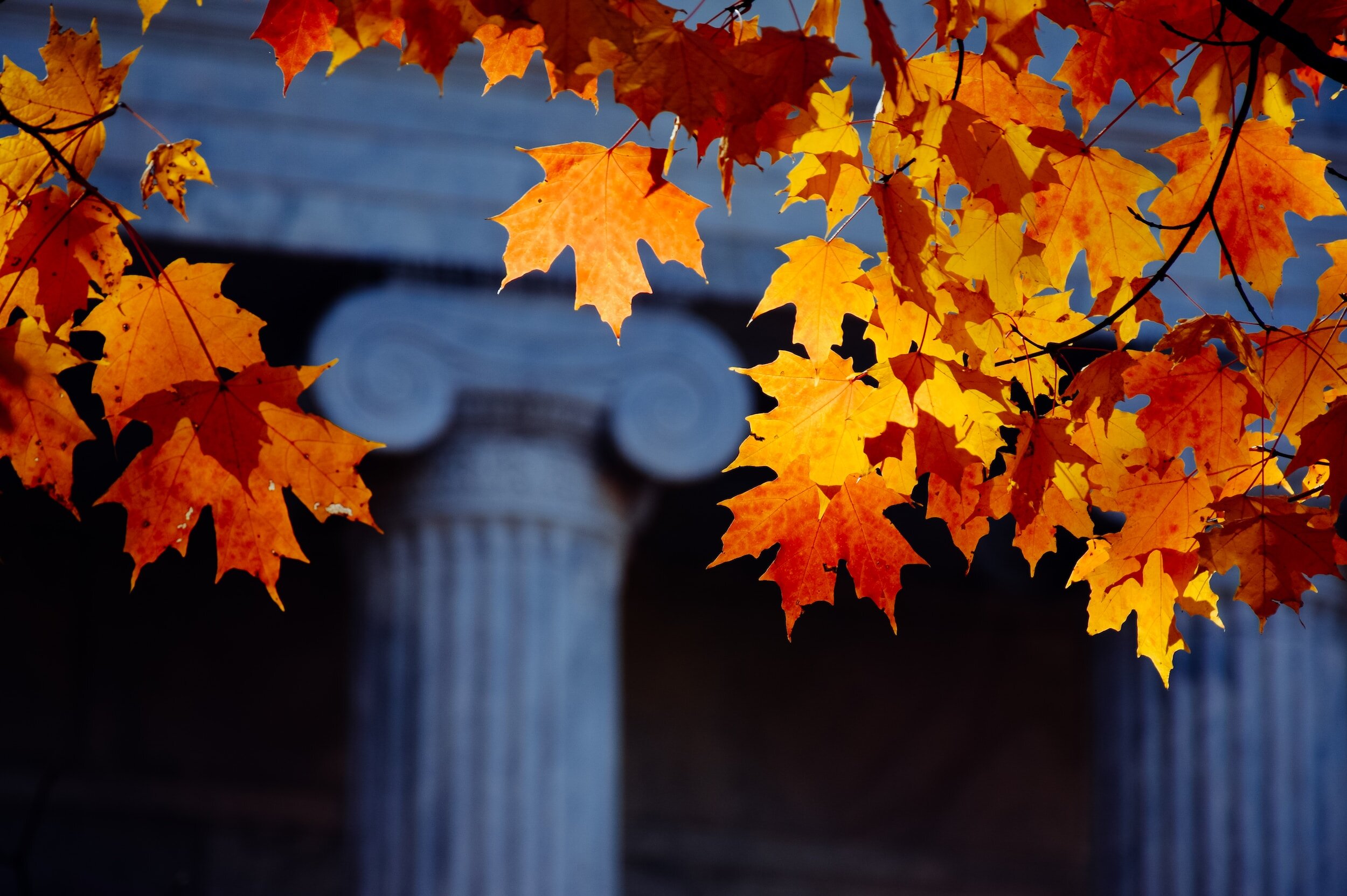 leaves and columns of ivy league college
