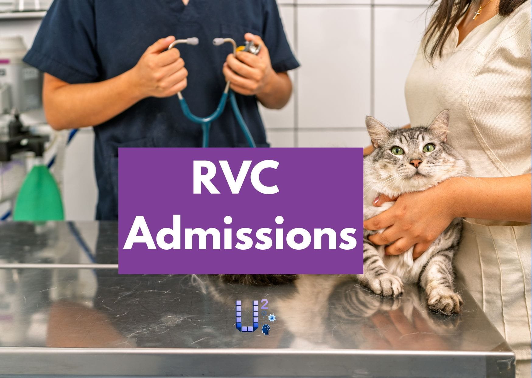 How to Get Into the Royal Veterinary College: Expert Admissions Advice