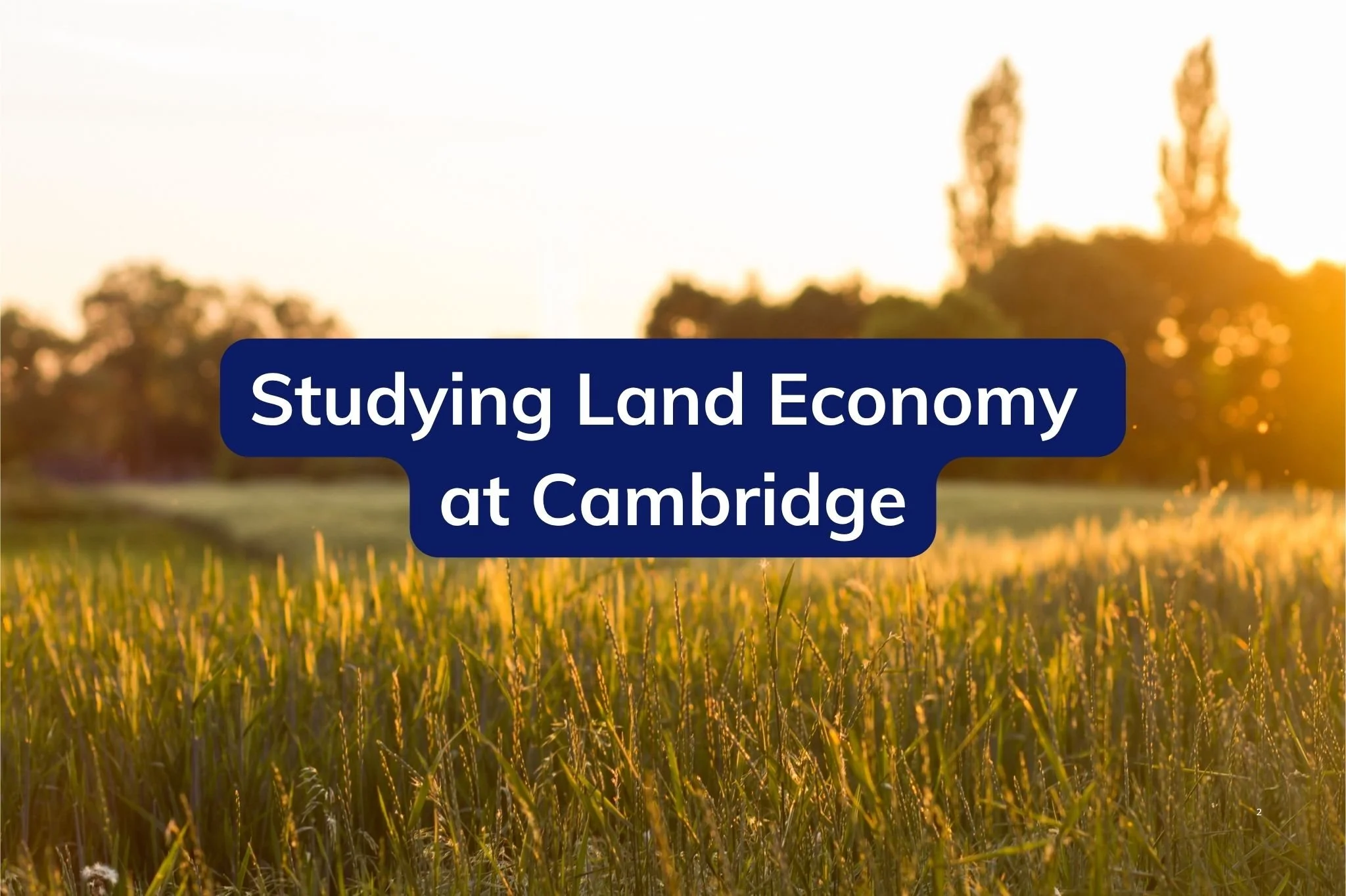 Studying Land Economy at Cambridge (2026 Guide)
