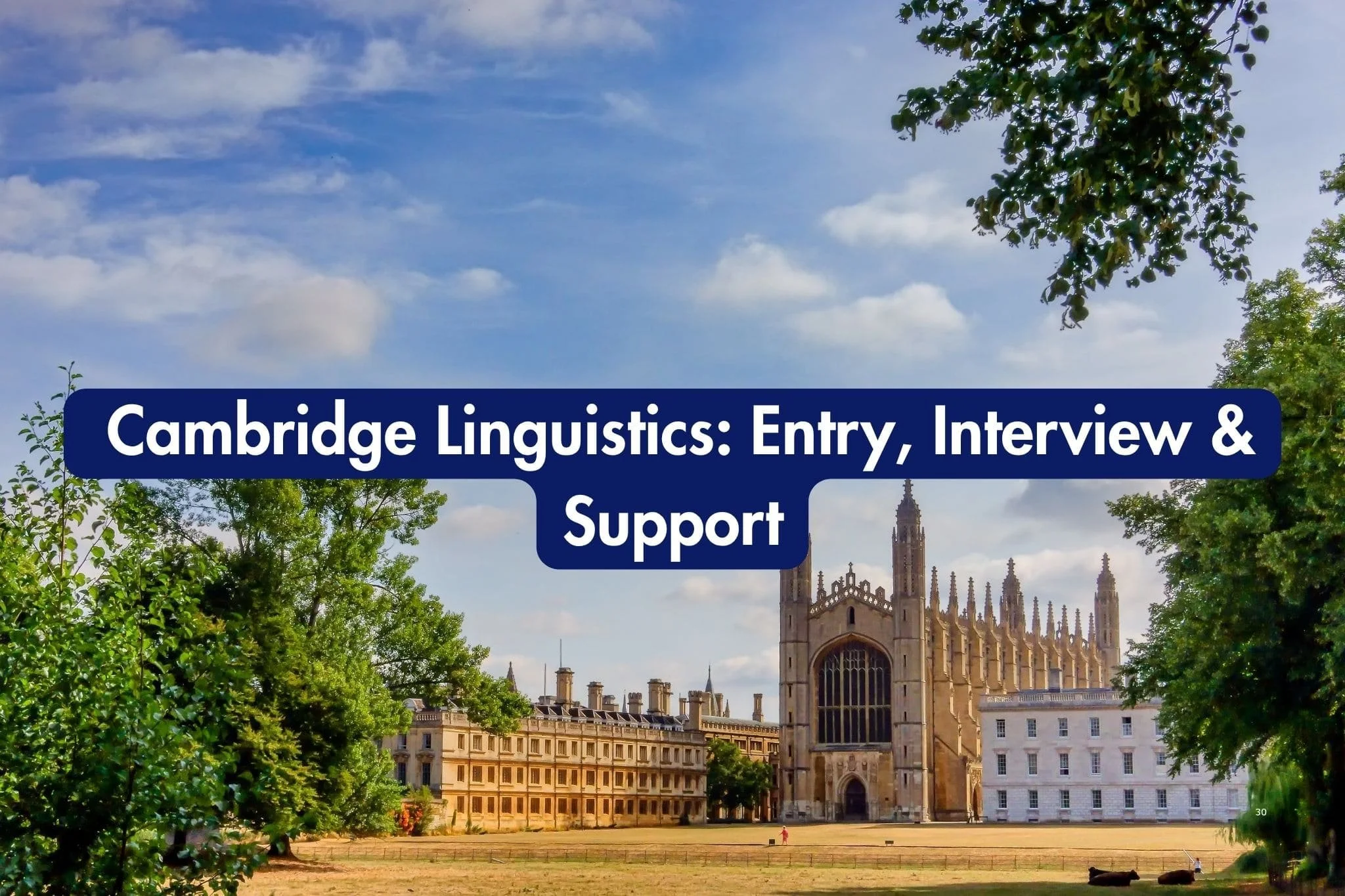 Applying for Cambridge Linguistics: Entry, Interview, &amp; Support